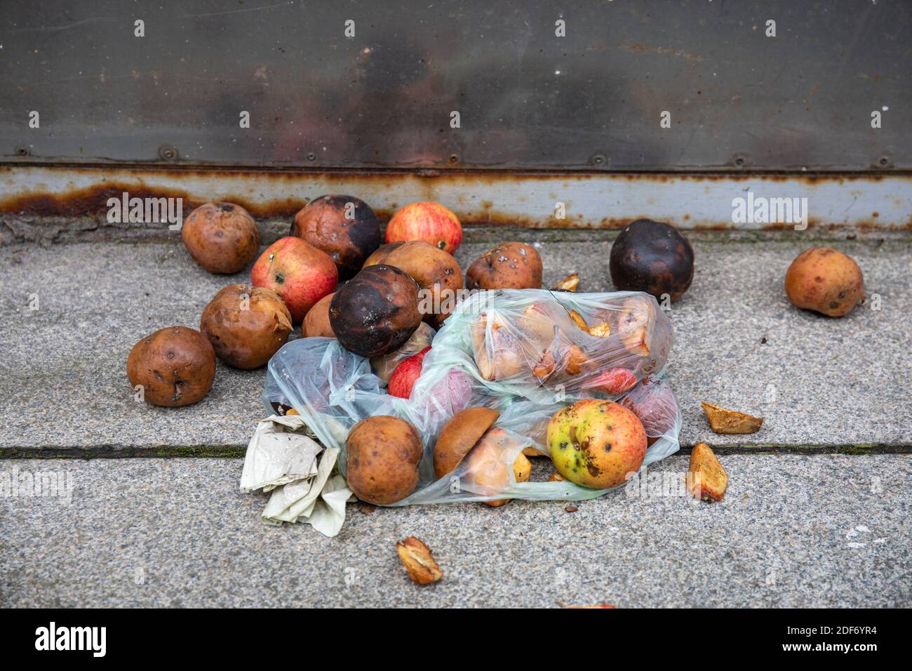Rotten apples on pavement Stock Photo