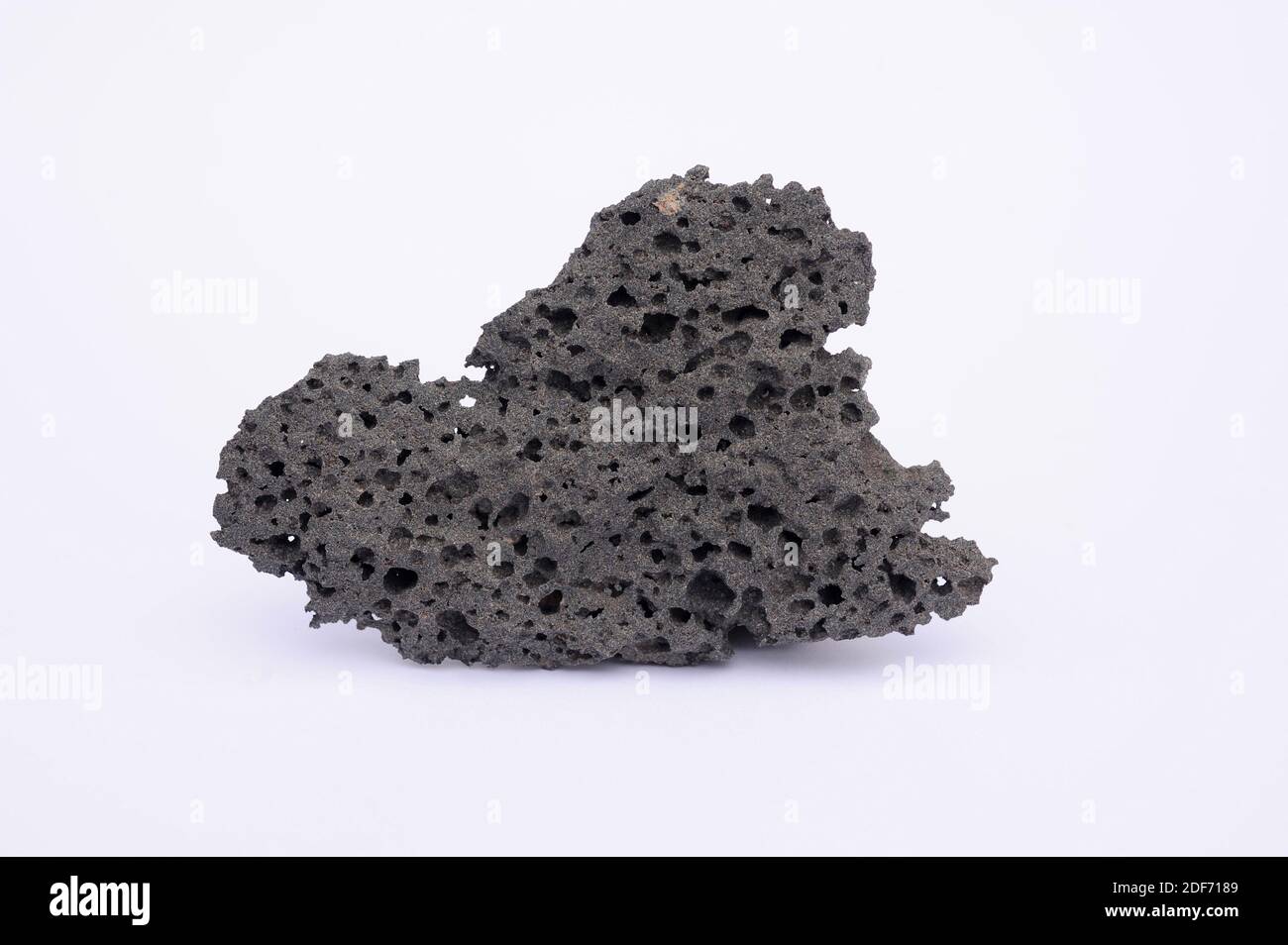Vesicular basalt. Basalt is an extrusive igneus rock. This sample comes