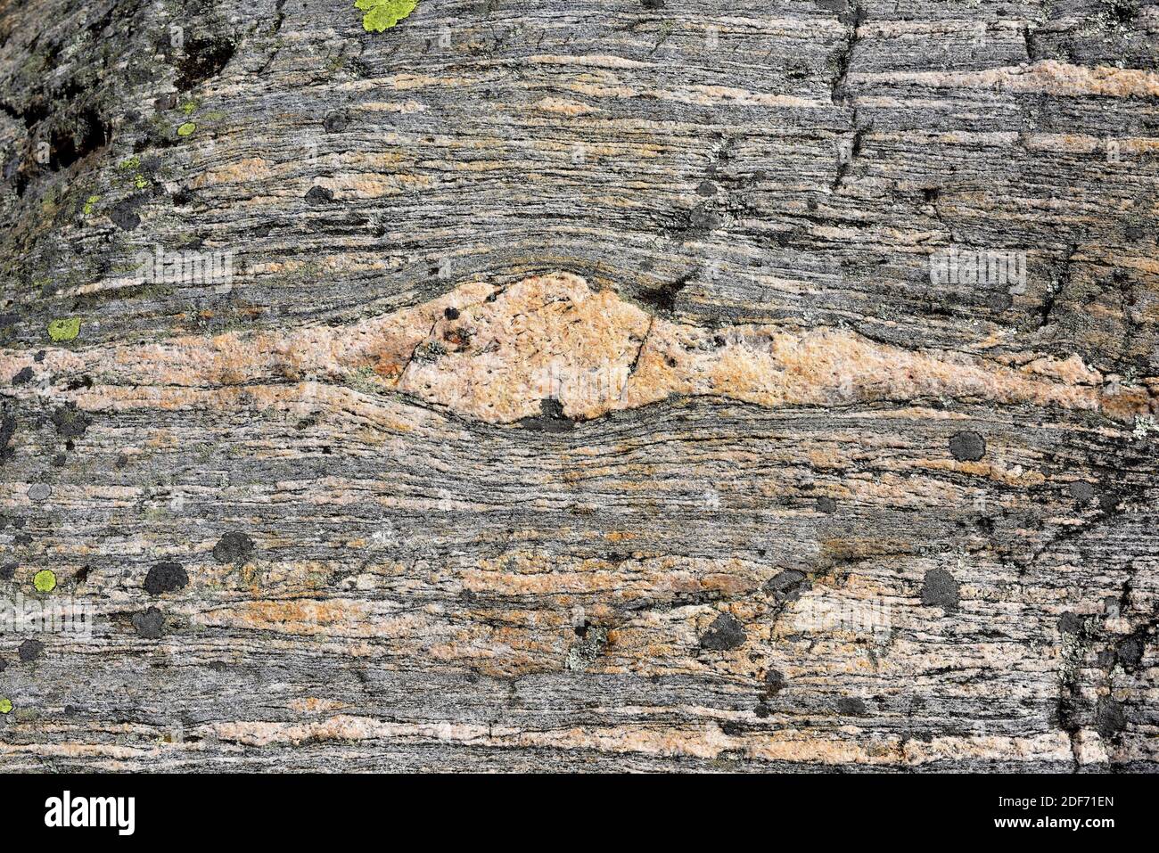 Gneiss is a metamorphic rock. This photo was taken in Smogen, Bohuslan, Sweden. Stock Photo