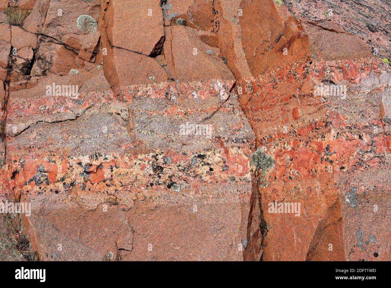 Granite porphyry vein. This photo was taken in Lysekil, Bohuslan, Sweden. Stock Photo
