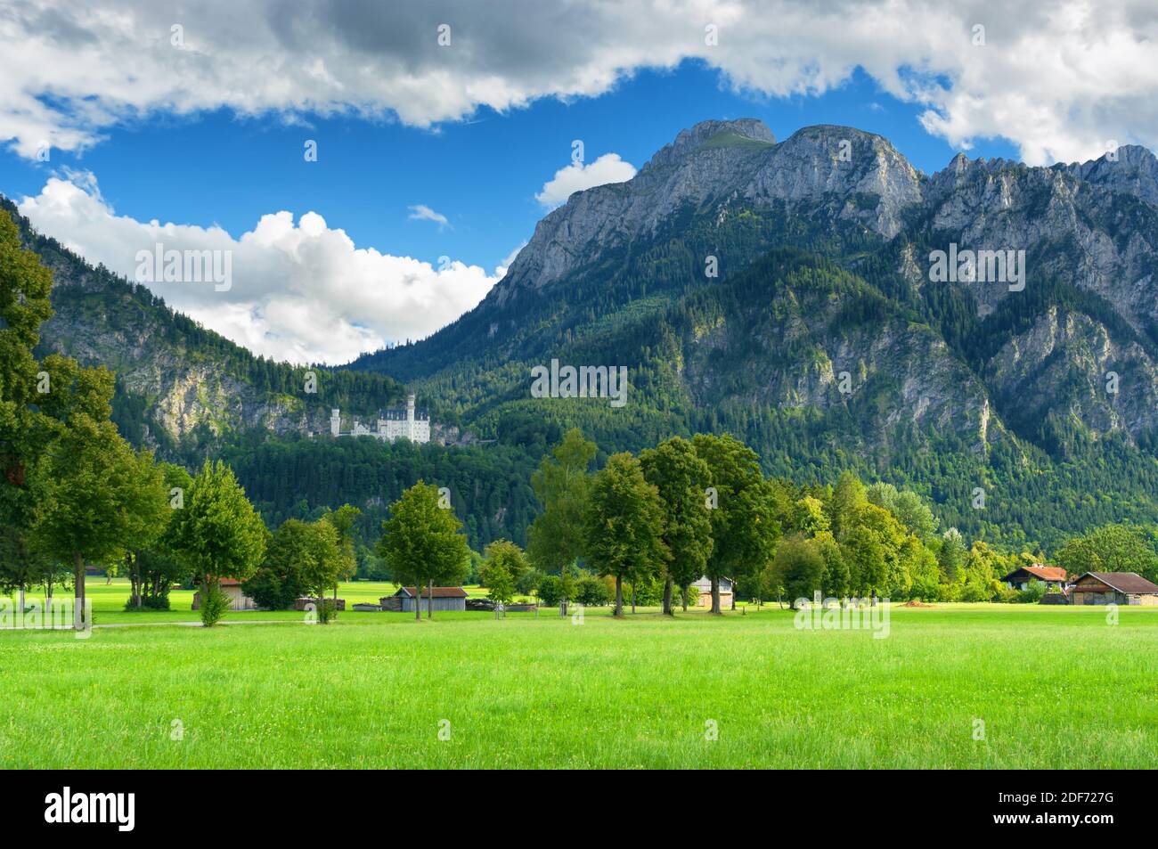 Alps mountain near Neuschwanstein, Bavaria Germany Stock Photo