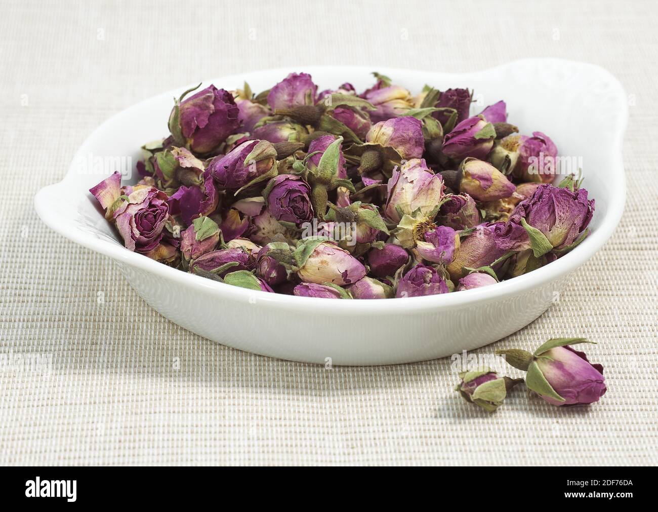 Rose, Rosa sp., Dry Rosebuds Stock Photo Alamy