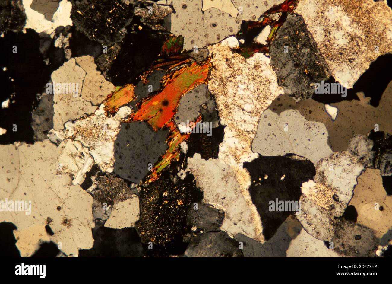 Aplite is an igneous intrusive rock same to granite but with more fine grains. Photomicrograph, polarizated light, thin section. Stock Photo