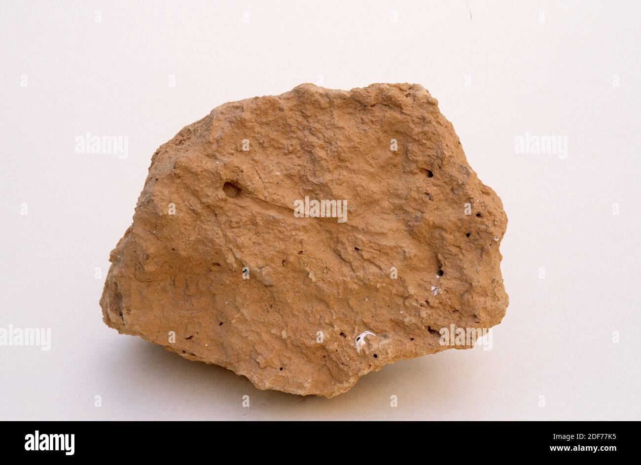 Mudstone is a fine-grained sedimentary rock composed by clay minerals. Sample. Stock Photo