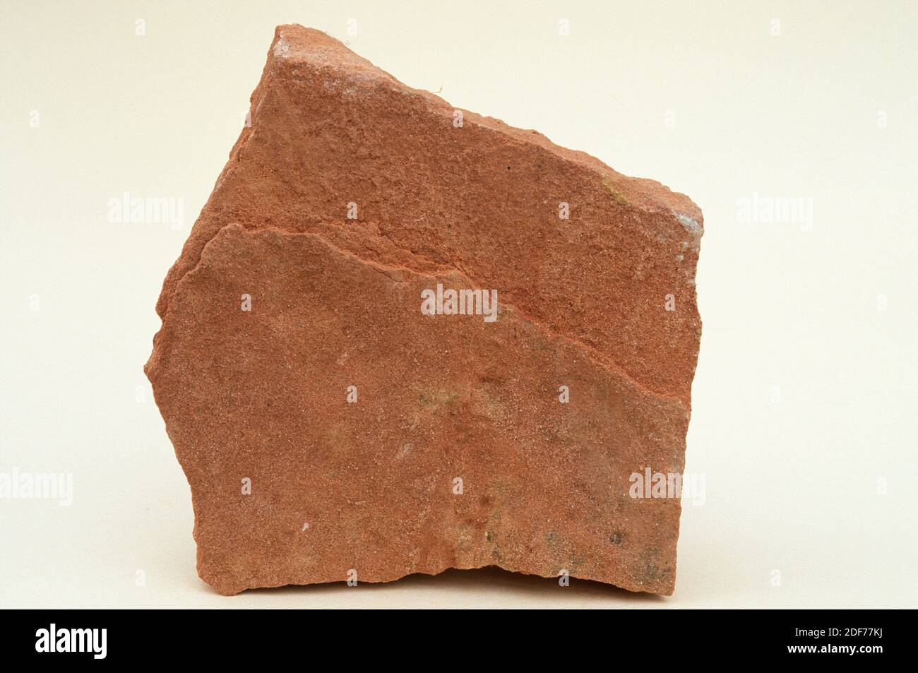 Red sandstone from Buntsandstein (Triassic). Sample Stock Photo Alamy