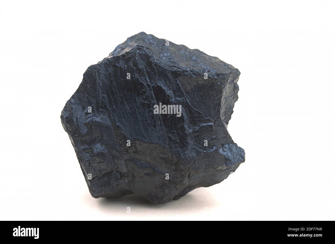 Lignite is an organic sedimentary rock. Sample. Stock Photo