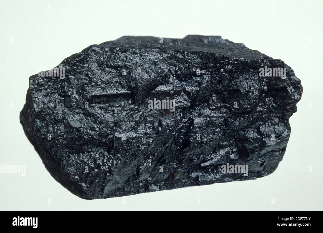 Bituminous coal is an organic sedimentary rock. Sample. Stock Photo