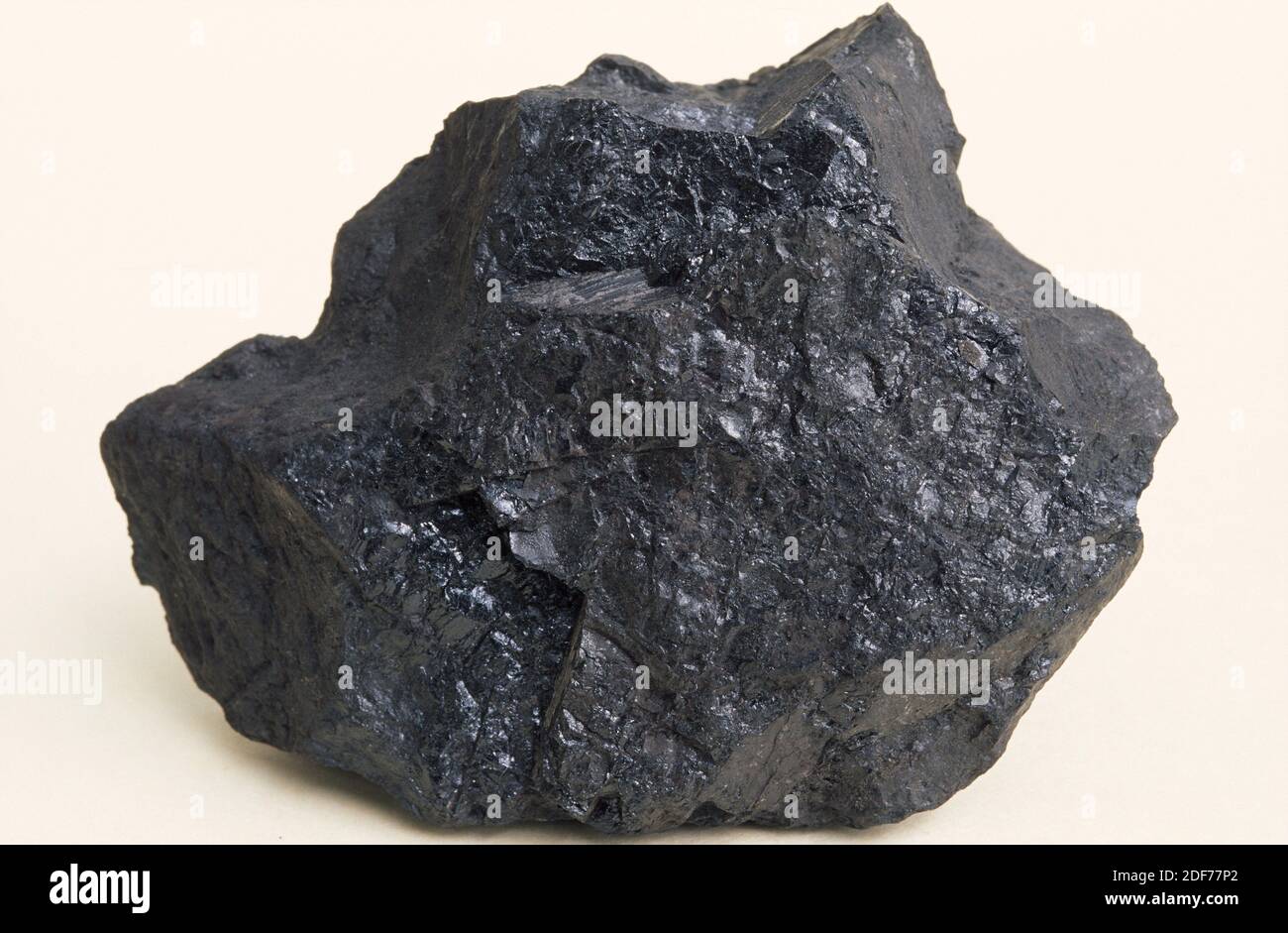 sedimentary rocks coal