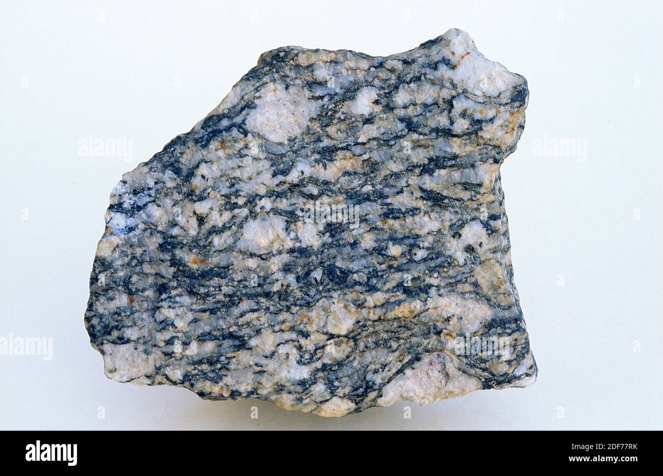 Gneiss is a metamorphic rock of high degree of metamorphism. Sample. Stock Photo