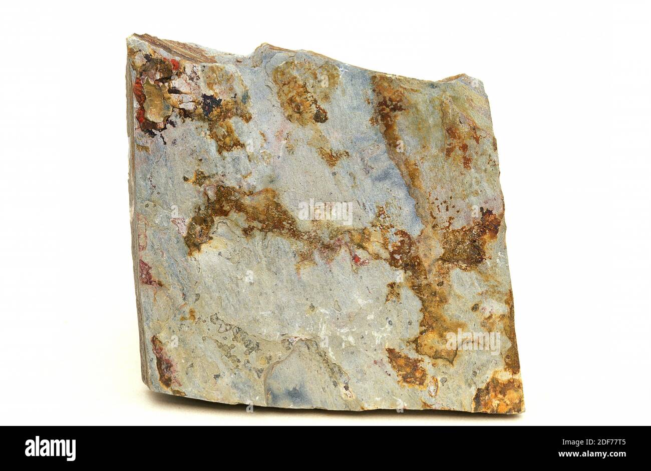 Schist is a metamorphic rock with foliation (schistose texture). Sample. Stock Photo