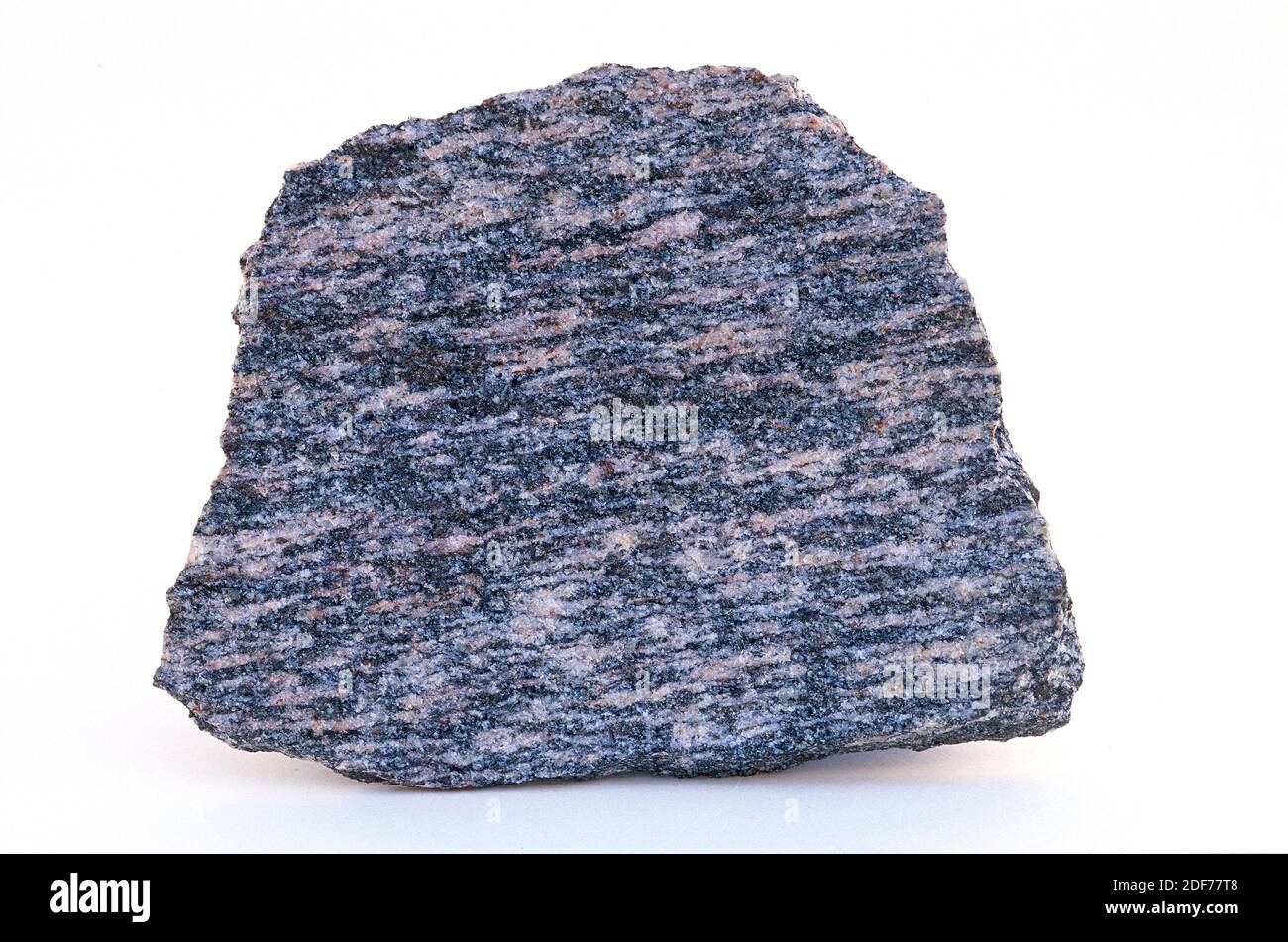 Gneiss is a metamorphic rock of high degree of metamorphism. Sample. Stock Photo