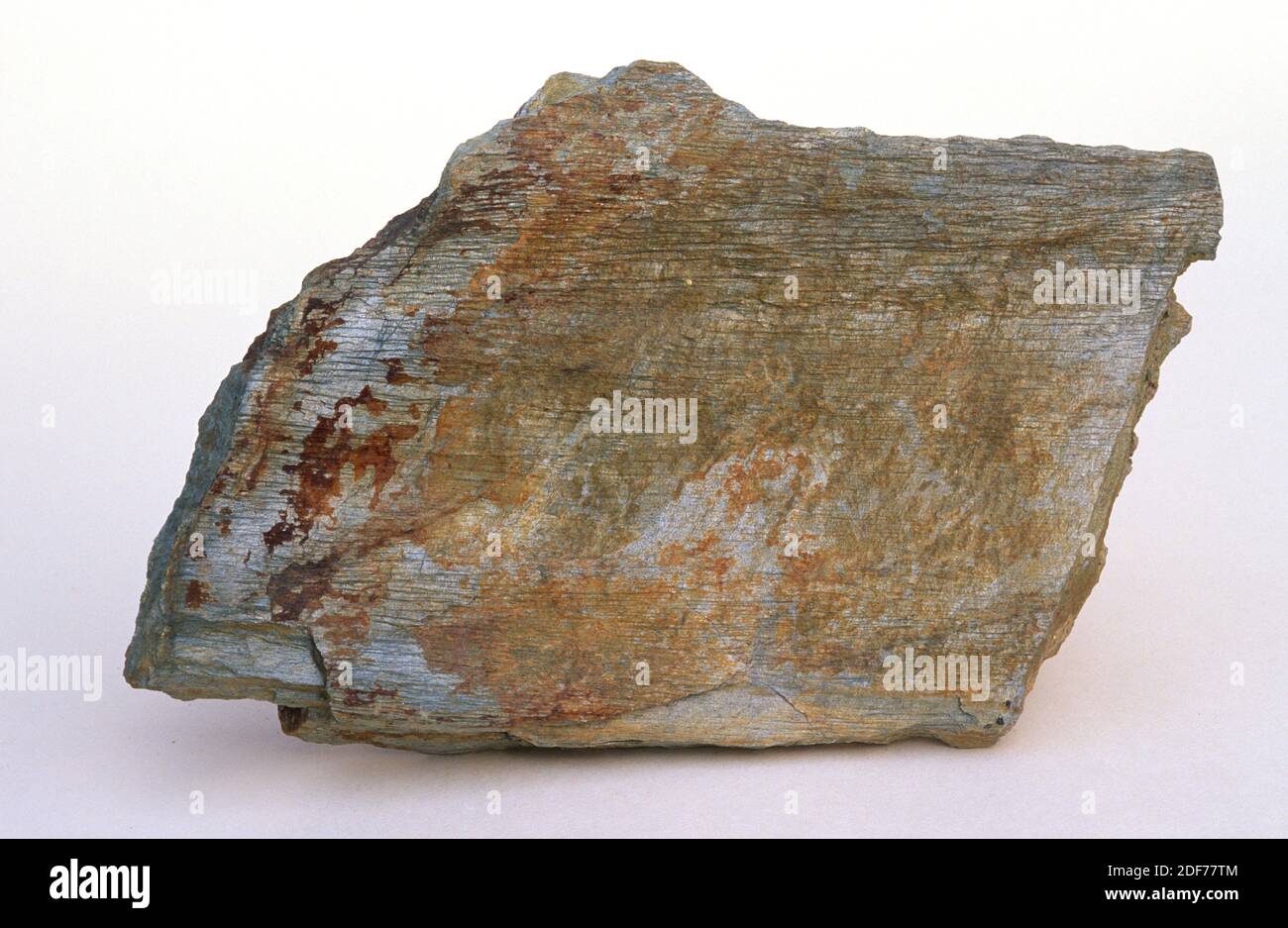 Phyllite is a foliated metamorphic rock intermediate between slate and schist. Sample. Stock Photo