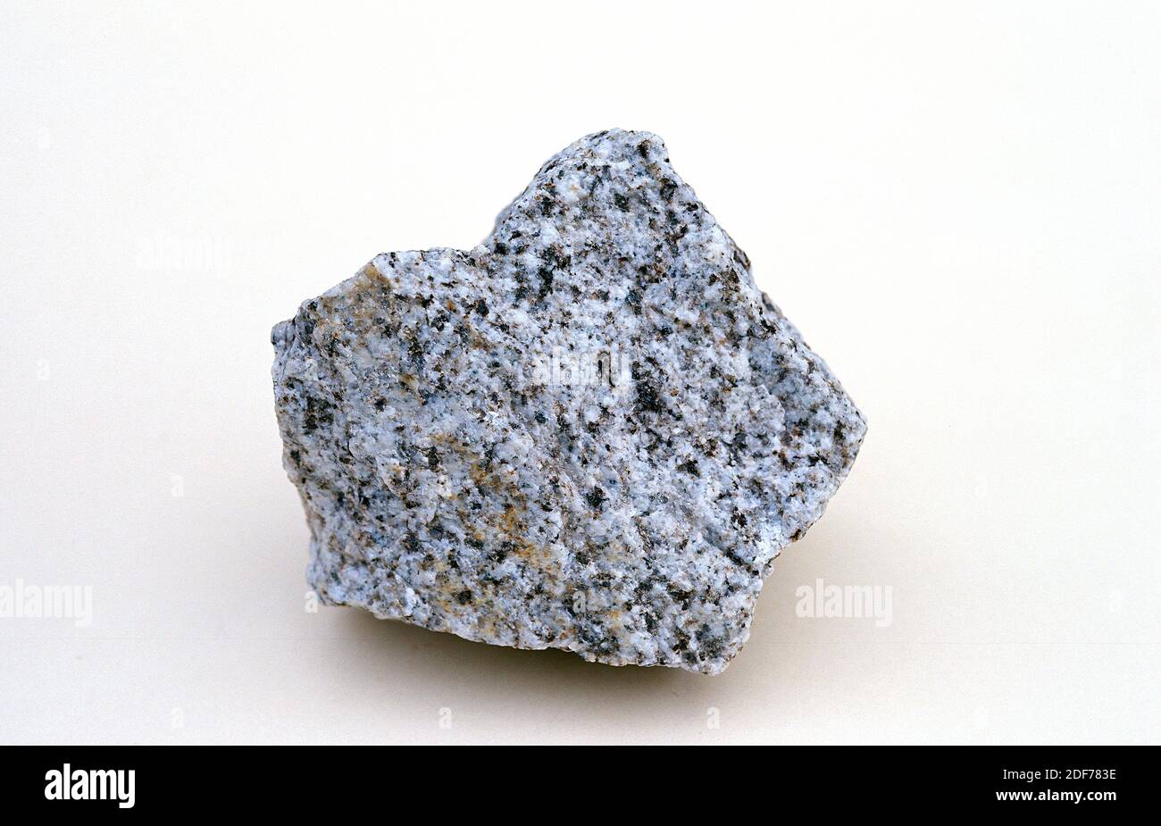 Tonalite or quartz diorite is an intrusive igneous rock. Sample. Stock Photo