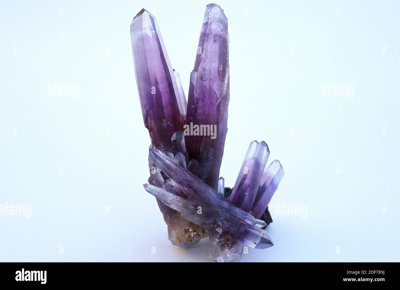 Amethyst crystals. Amethyst is a violete quartz variety, violet or purple color is due to iron presence. Stock Photo