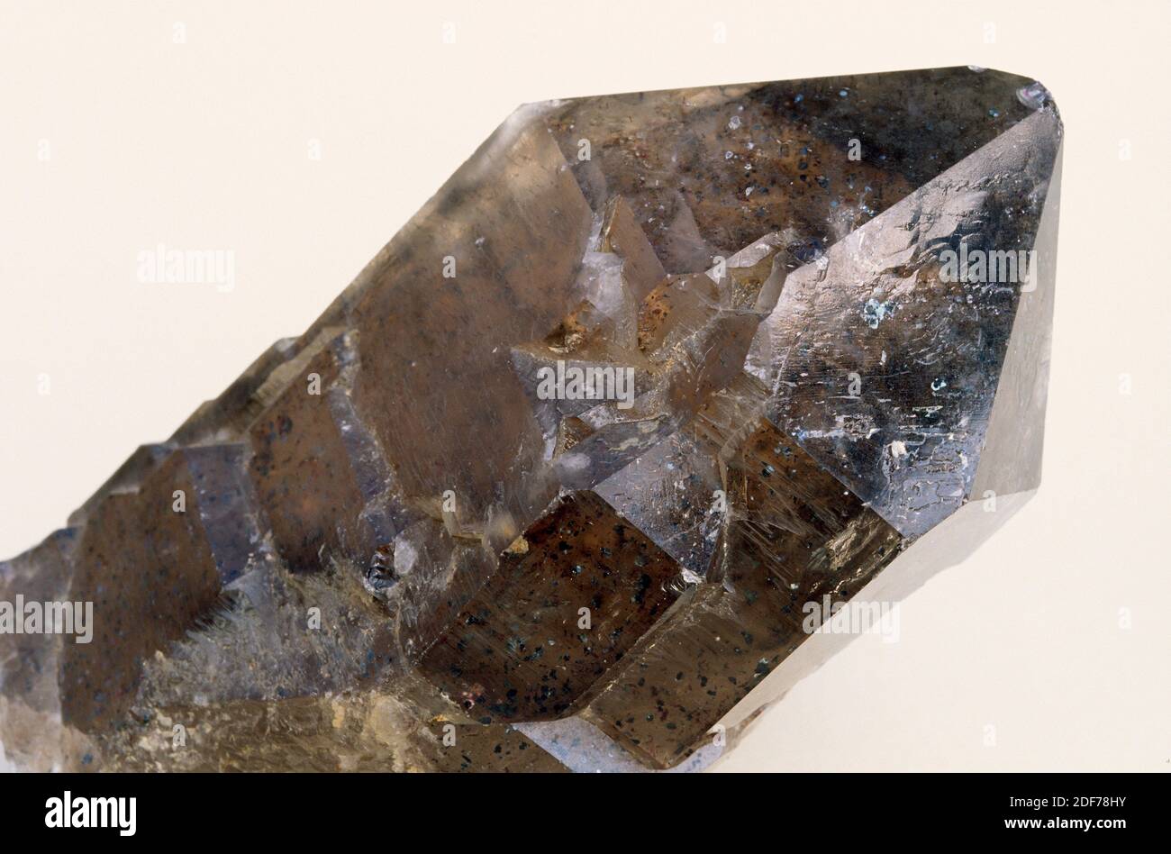 Smoky quartz crystal. Stock Photo