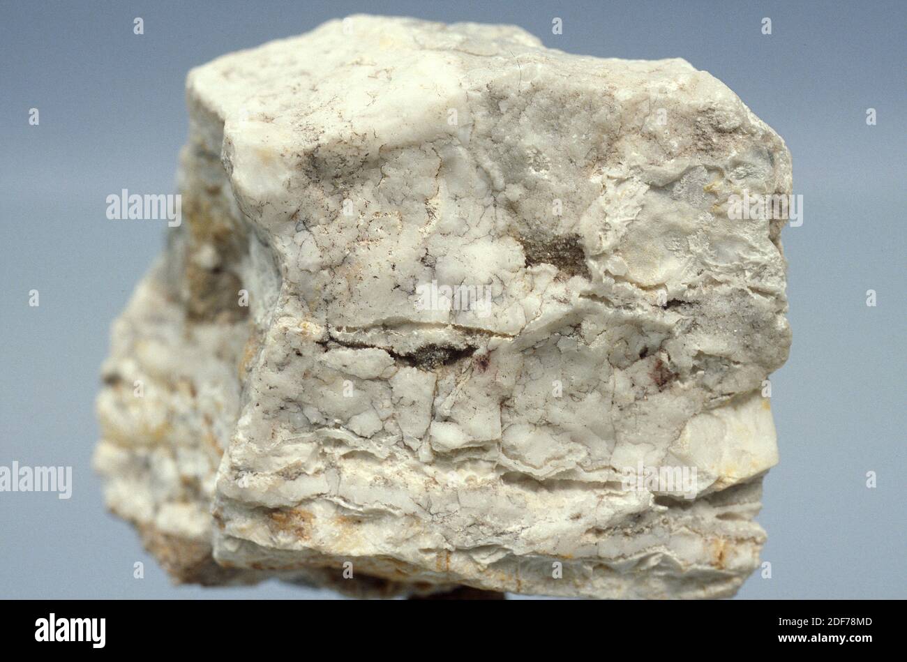 Phosphorite is a sedimentary rock rich in phosphorous minerals Stock ...