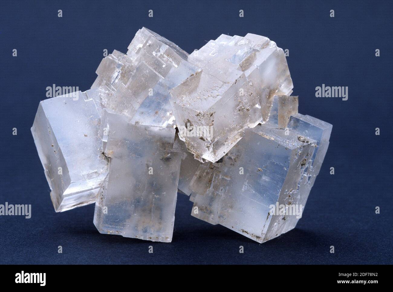 Halite or rock salt is a sodium chloride mineral. Crystallized sample. Stock Photo