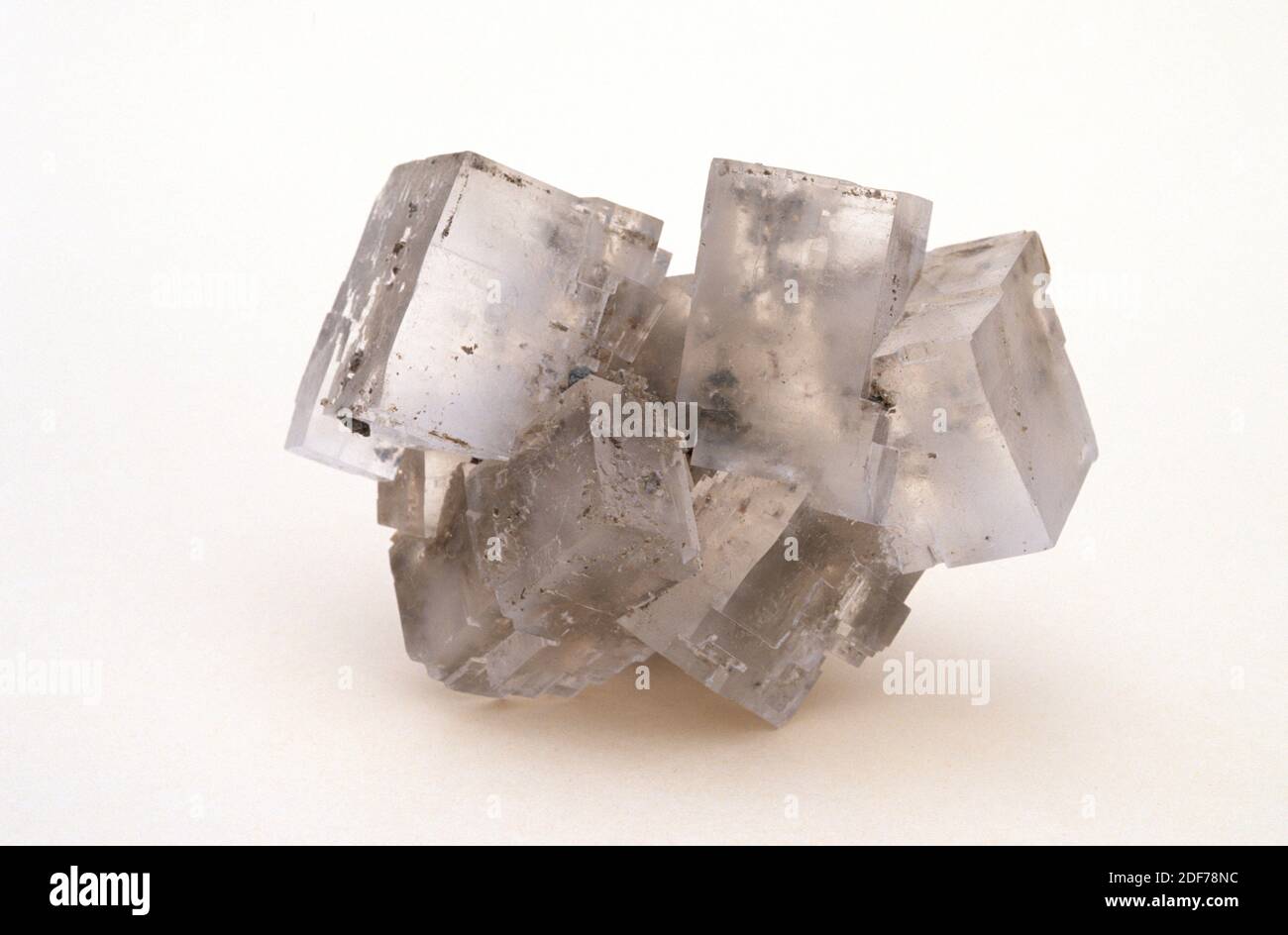 Halite or rock salt is a sodium chloride mineral. Crystallized sample. Stock Photo