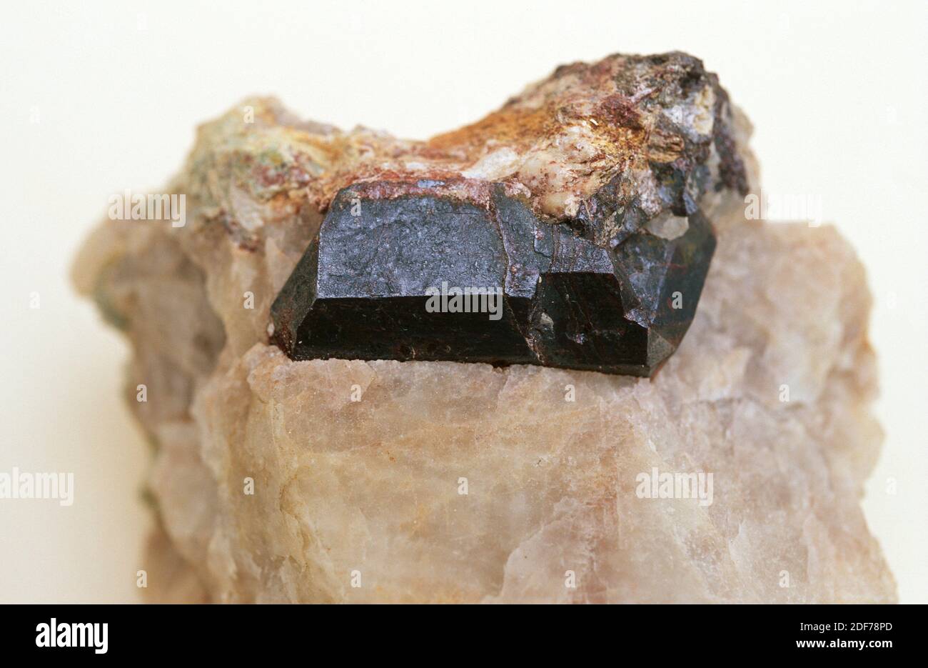 Rutile is a titanium oxide mineral. Prismatic crystal on matrix. Stock Photo
