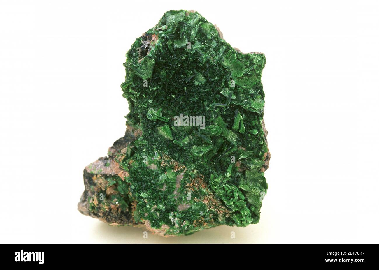 Torbernite is a radioactive copper uranyl phophate mineral. Crystallized sample. Stock Photo