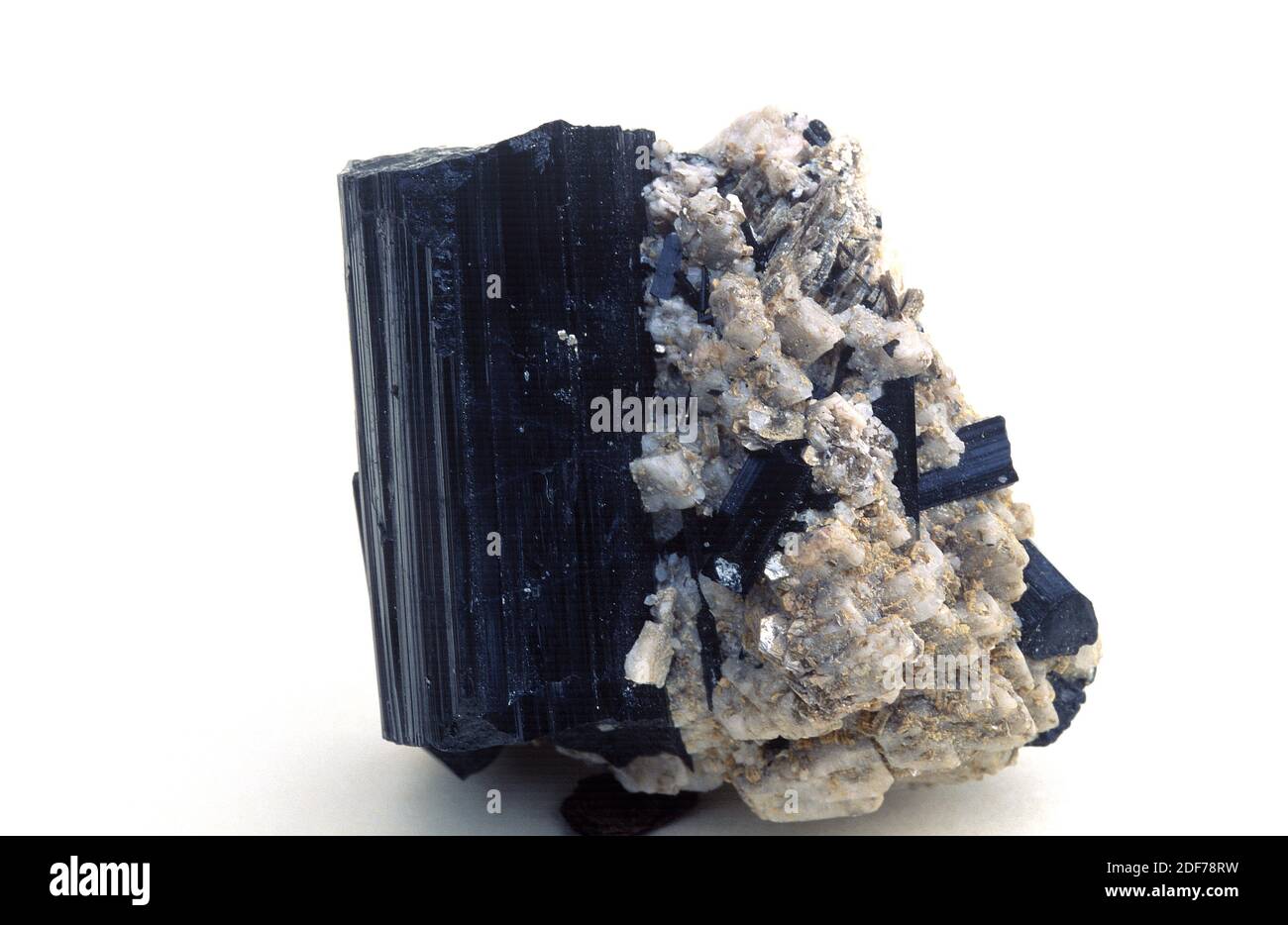 Tourmaline is a boron silicate mineral. Black prismatic crystals on matrix. Stock Photo
