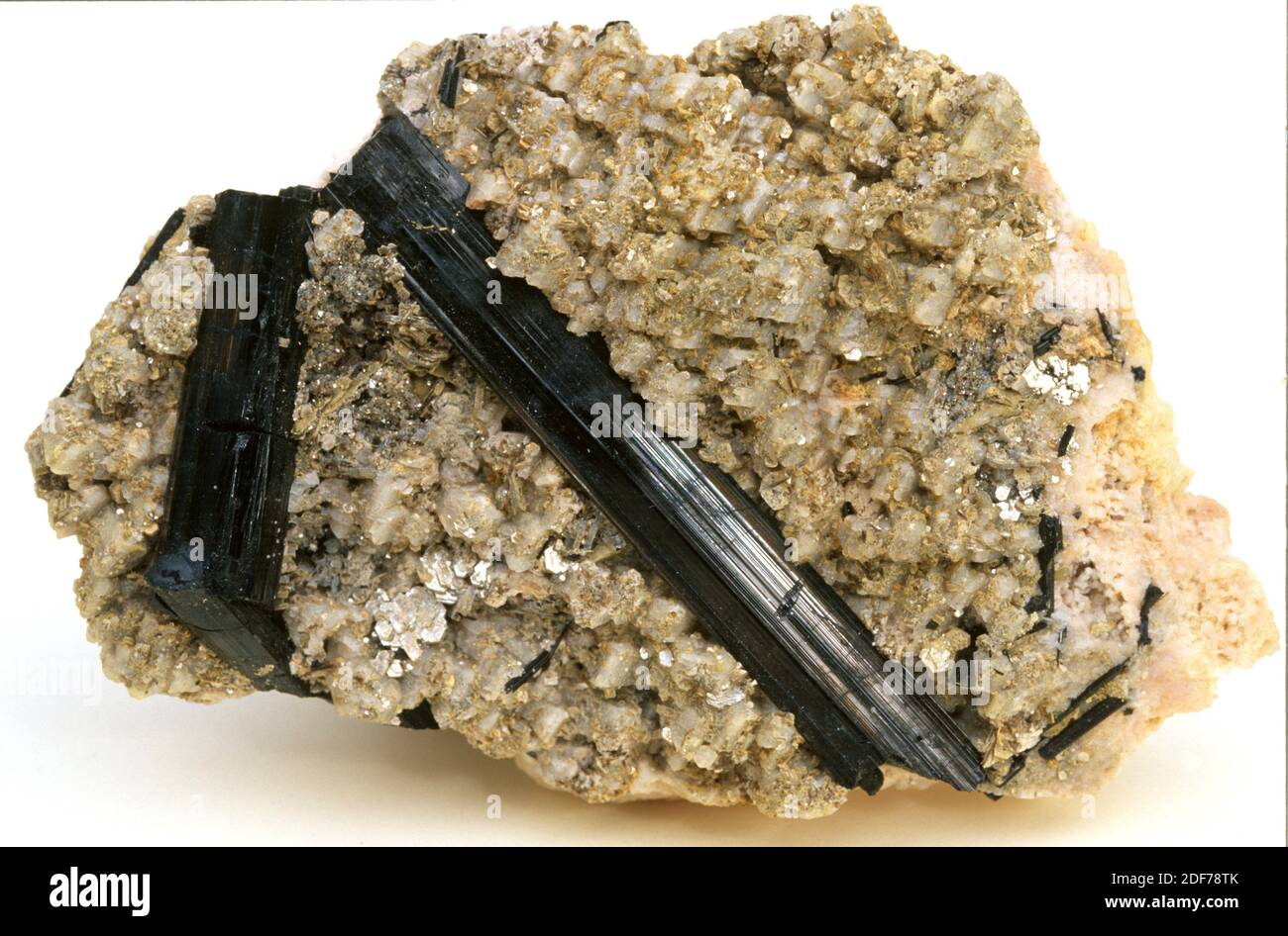 Tourmaline is a boron silicate mineral. Black prismatic crystals on matrix. Stock Photo