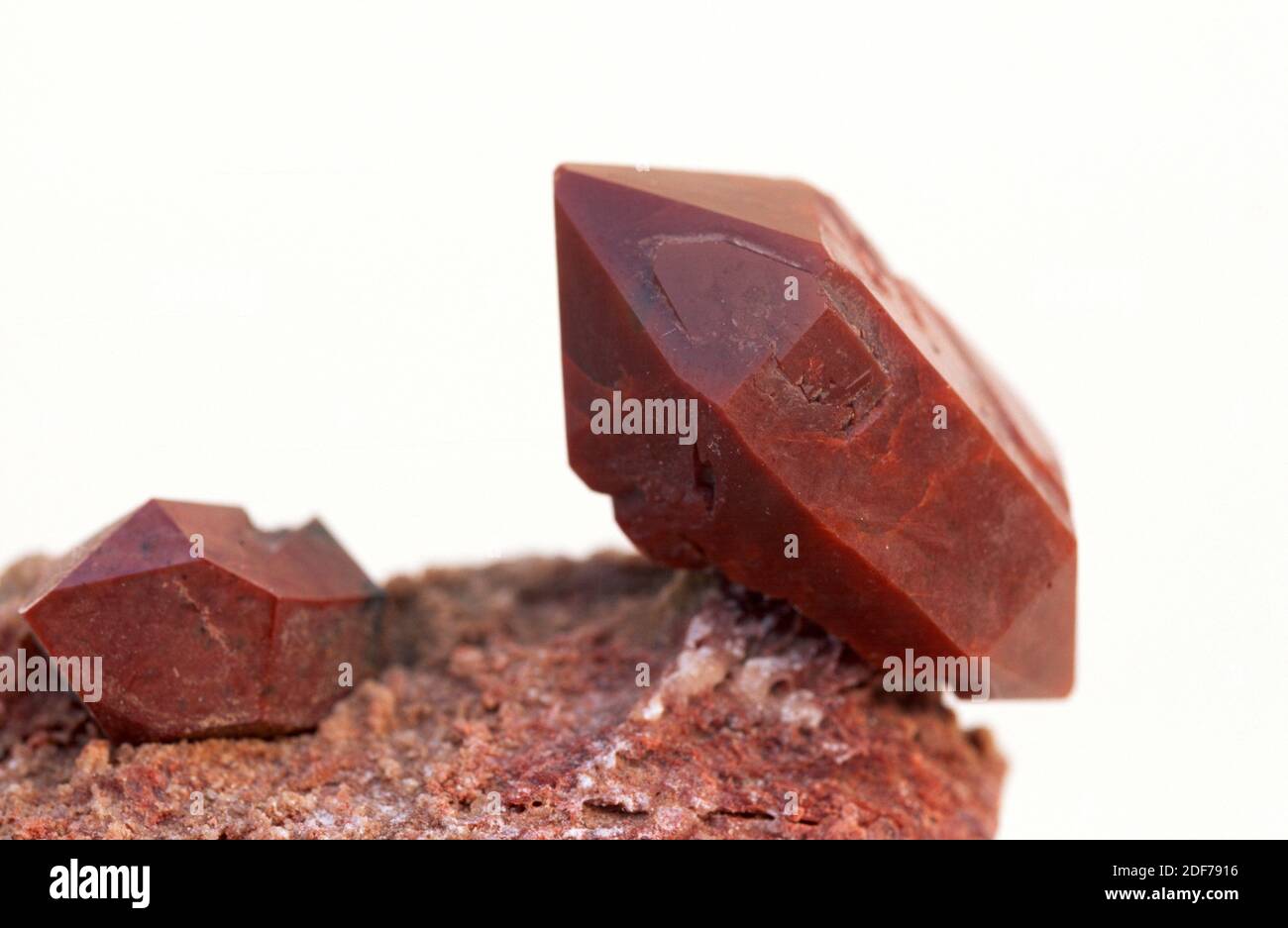 Jacinto de Compostela or hematoid quartz is a red quartz variety. Crystals on gypsum matrix.. Stock Photo