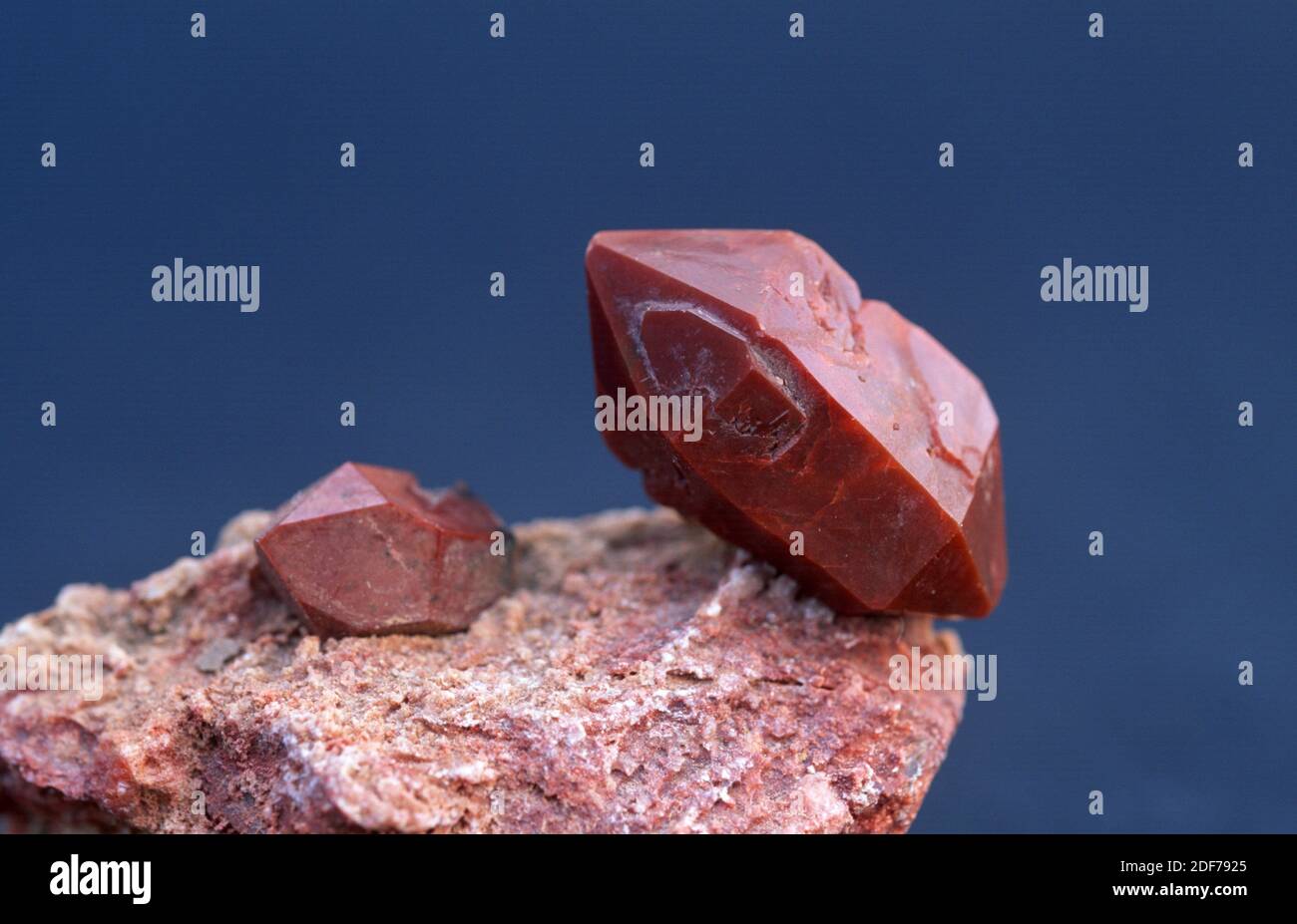 Jacinto de Compostela or hematoid quartz is a red quartz variety. Crystals on gypsum matrix. Stock Photo