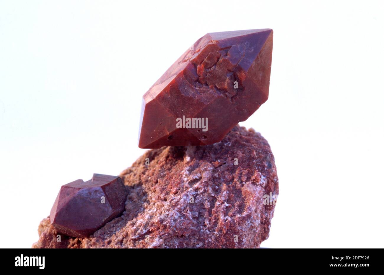 Jacinto de Compostela or hematoid quartz is a red quartz variety. Crystals on gypsum matrix. Stock Photo