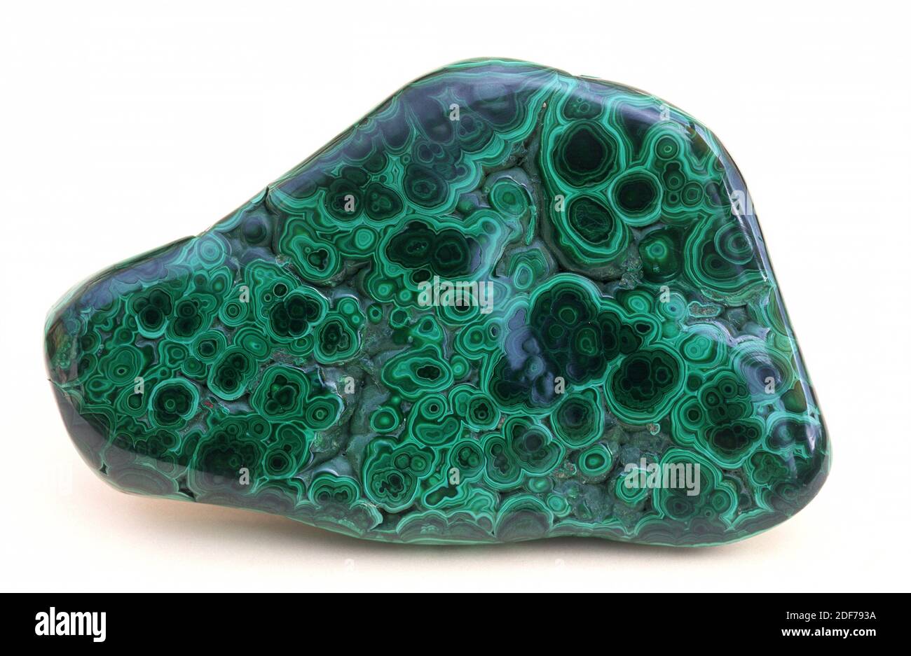 Malachite is a copper carbonate hydroxide. Botryoidal polished sample. Stock Photo