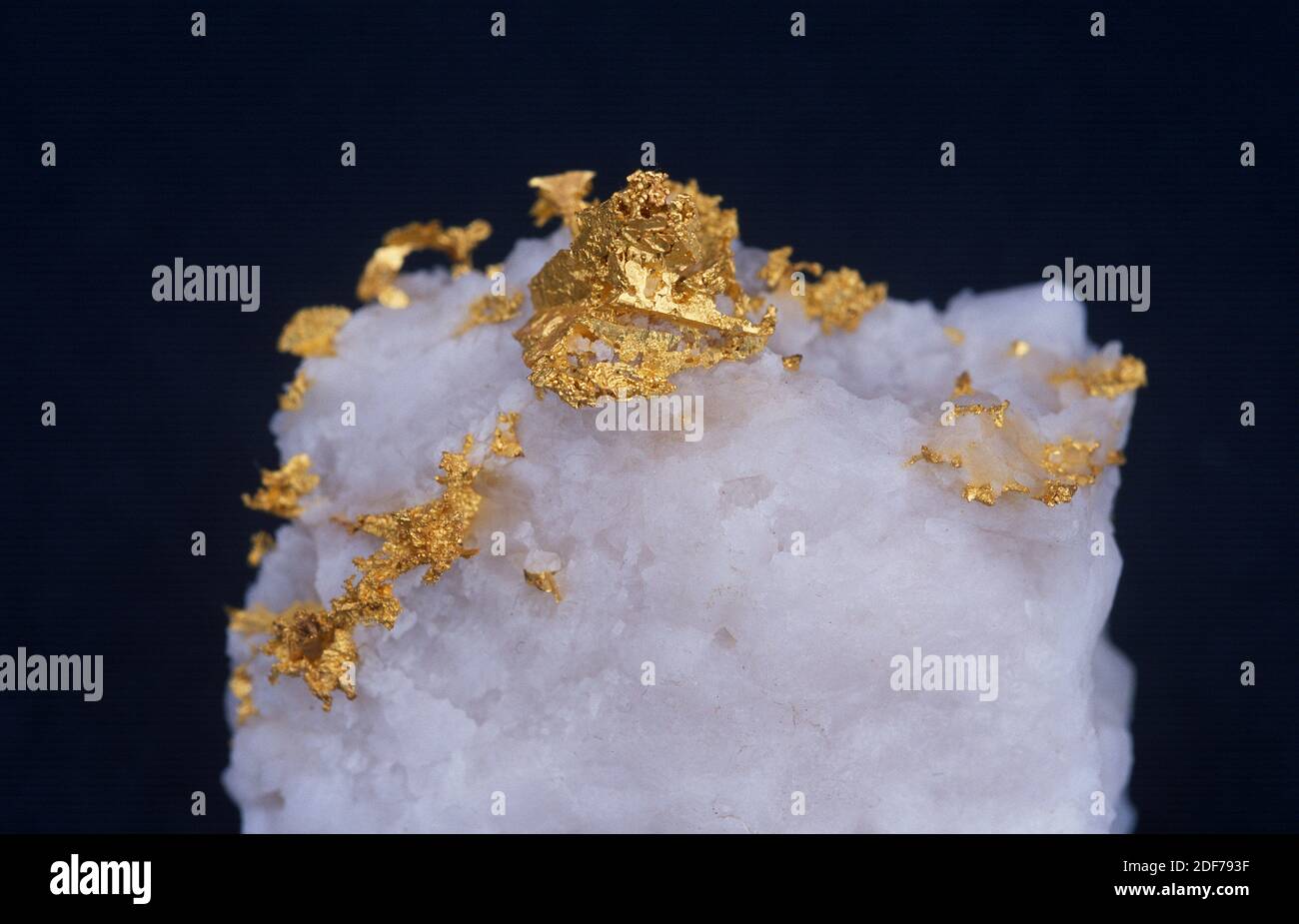 Gold is a mineral from native elements group. Sample on a quartz Stock