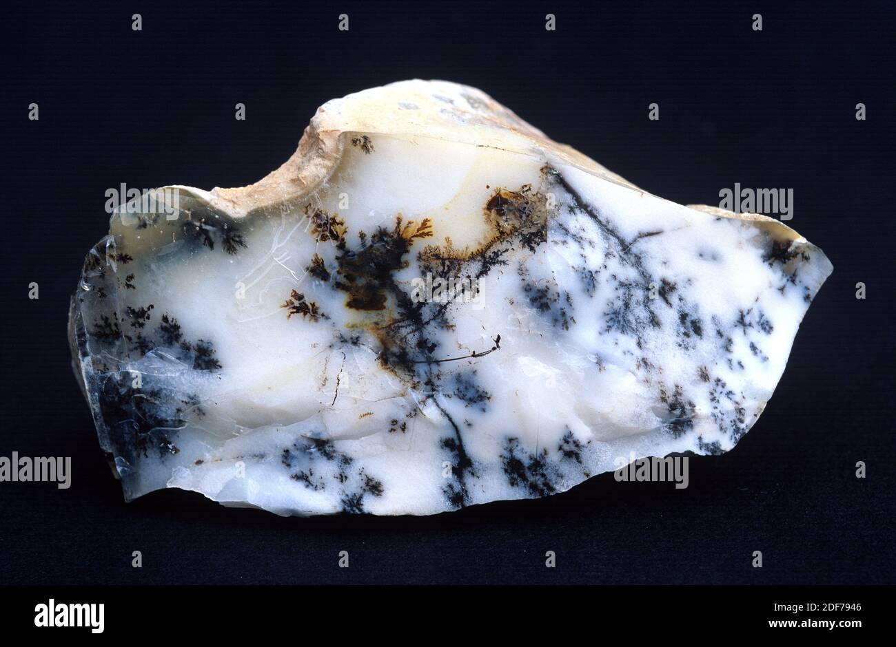 Opal is an hydrated variety of amorphous silica. Sample with dendritic pyrolusite. Stock Photo