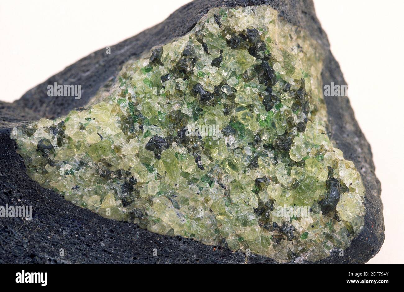 Olivine is a magnesium iron silicate. Crystals in a basalt bomb Stock