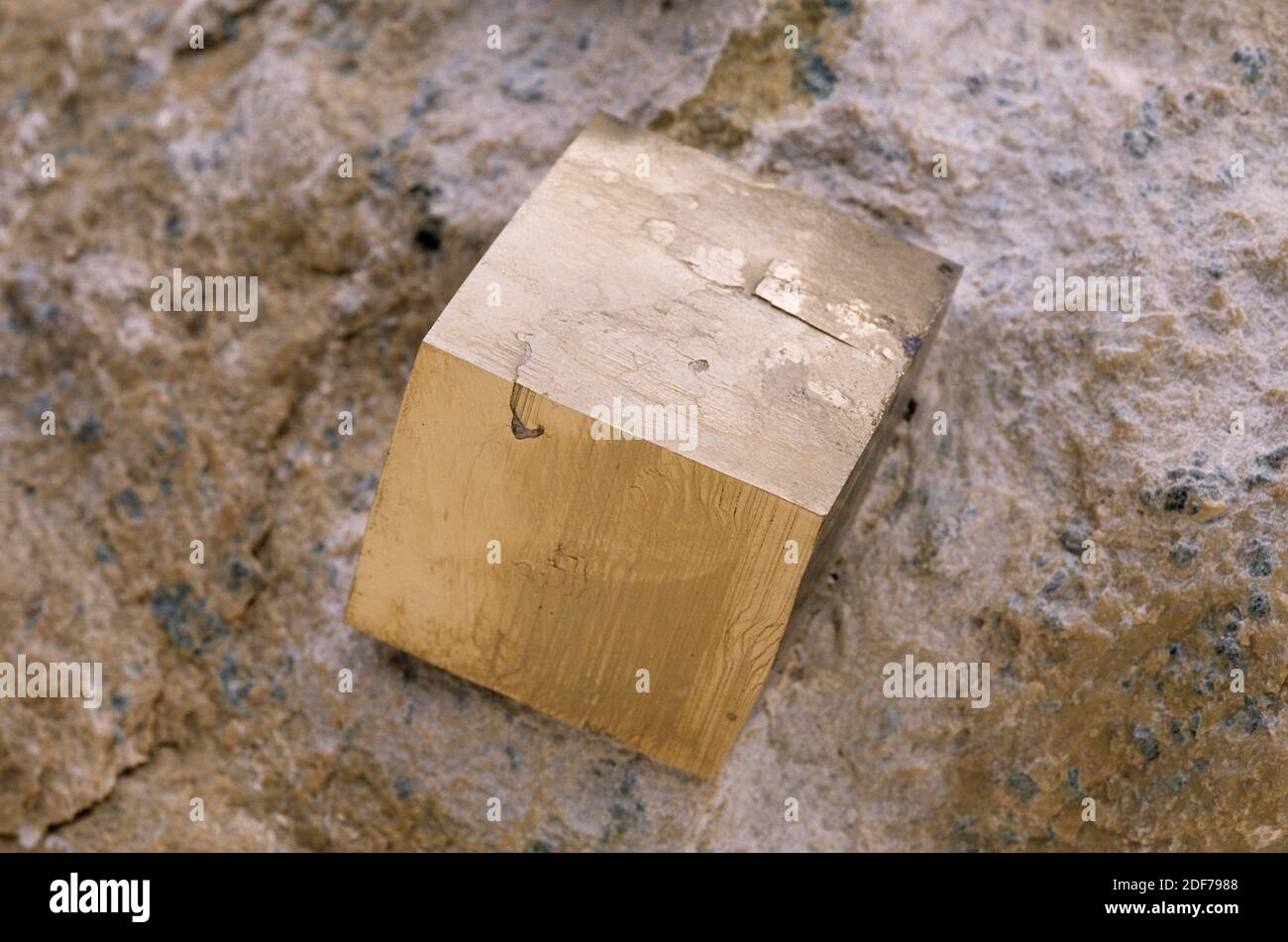 Pyrite or iron pyrite is an iron sulfide mineral. Cubic crystal on matrix. Stock Photo