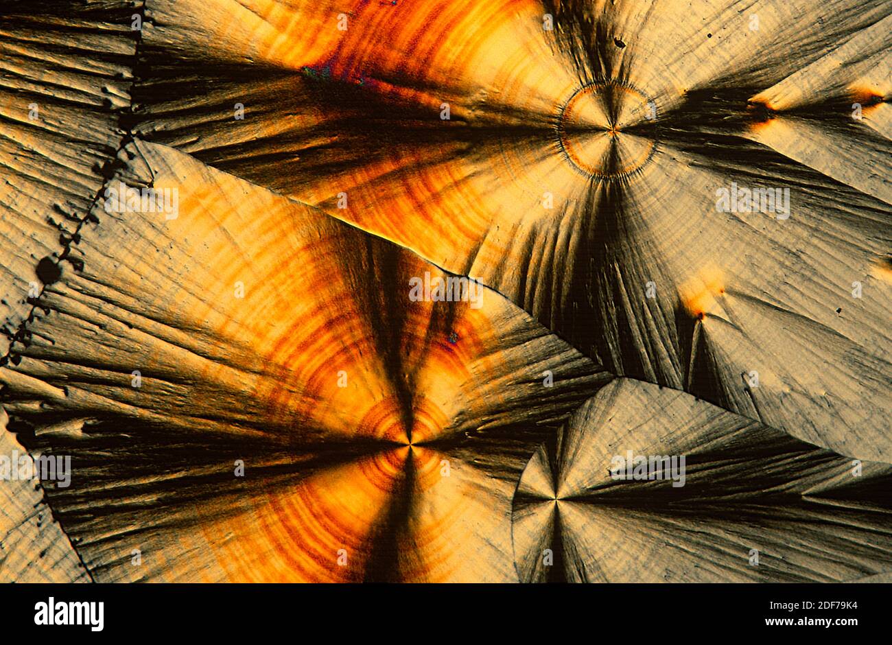 Vitamin C or ascorbic acid is an important antioxidant and collaborate with the immune system. Photomicrograph, polarized light. Stock Photo