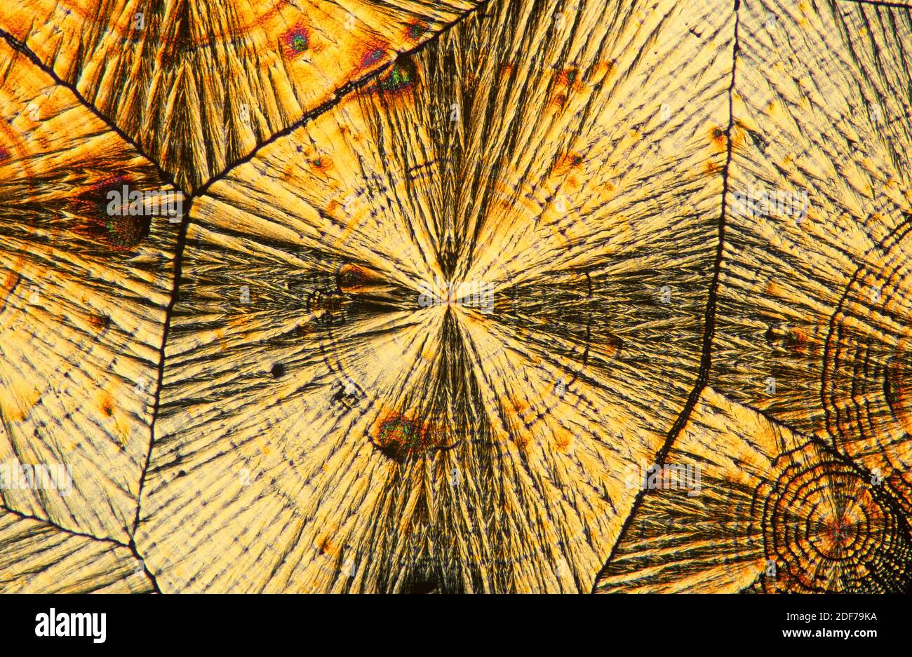 Vitamin C or ascorbic acid is an important antioxidant and collaborate with the immune system. Photomicrograph, polarized light. Stock Photo
