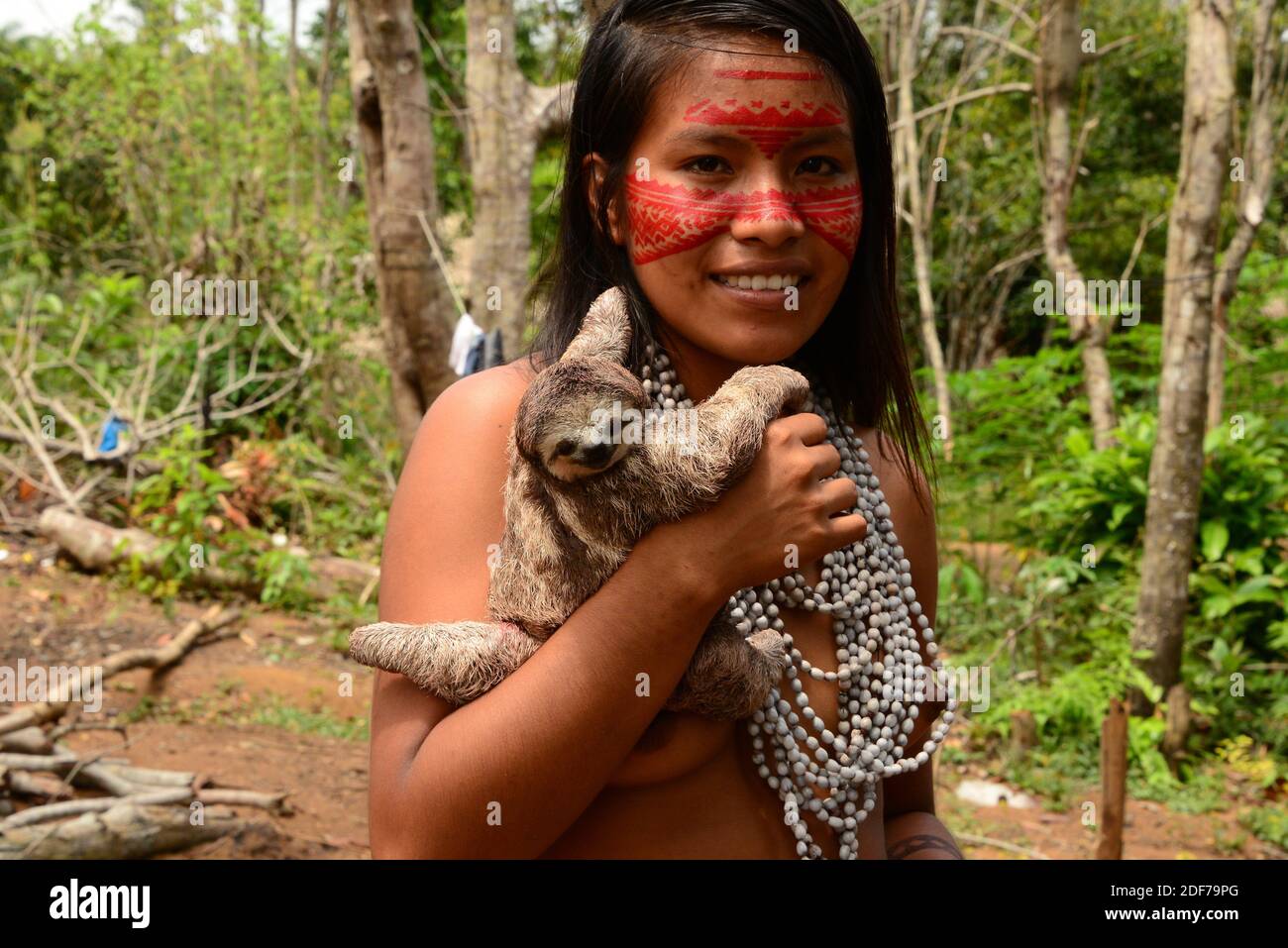 Tatuyo girl with a pale-throated sloth (Bradypus tridactylus). This photo was taken in Manaus, Brazil. Stock Photo