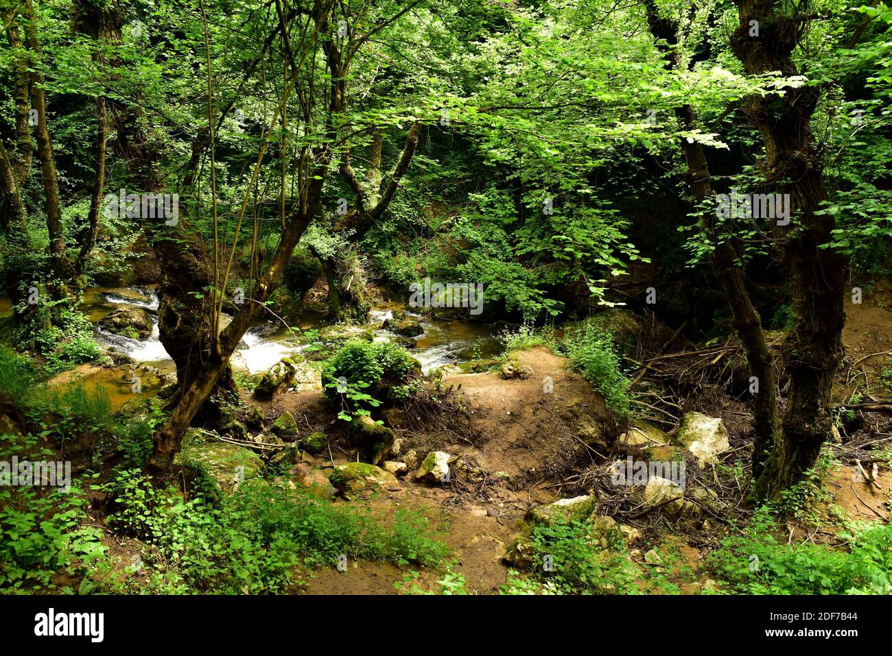 Ojo Guareña, Guareña River sinkhole. Burgos province, Castilla y Leon, Spain. Stock Photo