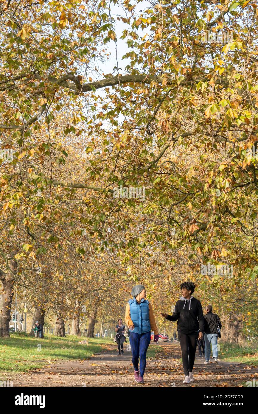 Runners and walkers in Clapham Common on the 7th November in the London borough of Lambeth in the United Kingdom. Photo by Sam Mellish Stock Photo