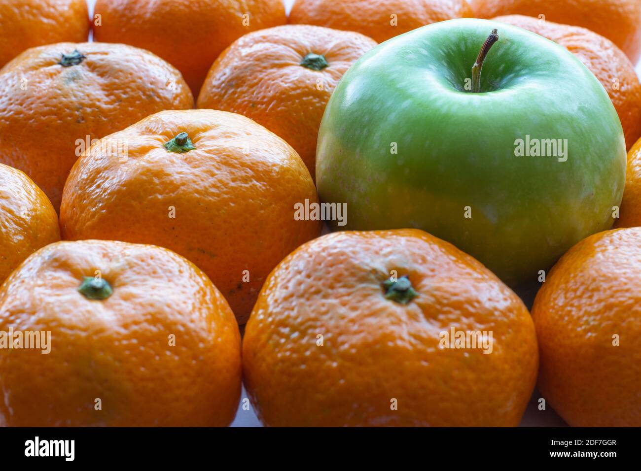 One green granny smith apple with orange mandarin oranges, fresh fruit background Stock Photo
