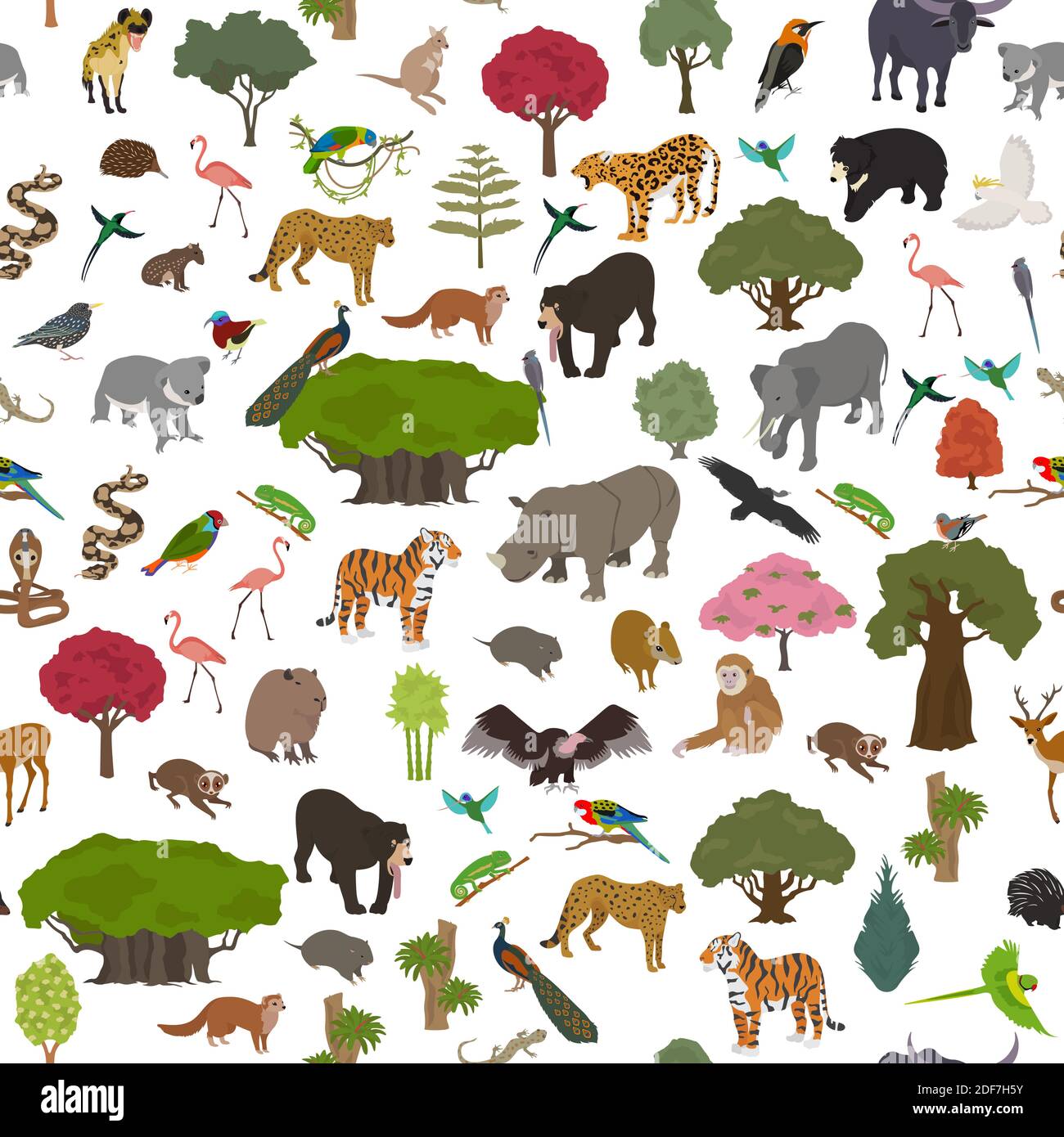 Tropical and subtropical dry broadleaf forest biome, natural region seamless pattern. Seasonal forests. Animals, birds and vegetations ecosystem desig Stock Vector