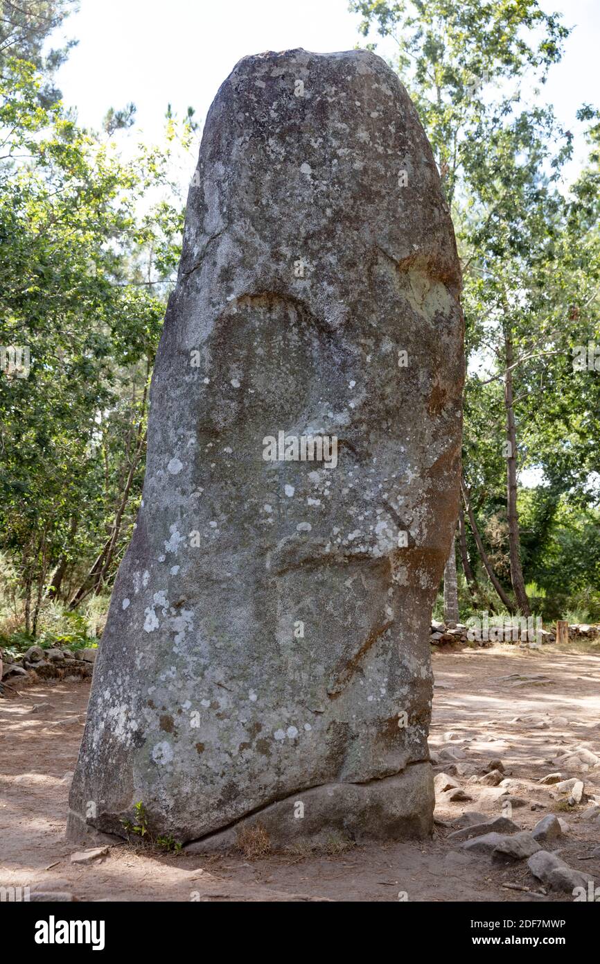 France, Morbihan, Carnac, menhir the giant of Stock Photo - Alamy