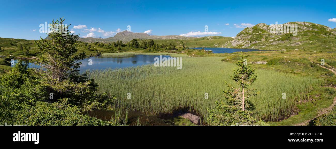 France, Isere , massif of the Taillefer, hiking to the Fourchu lake and the crete of Mount Galbert , in panoramic view Stock Photo