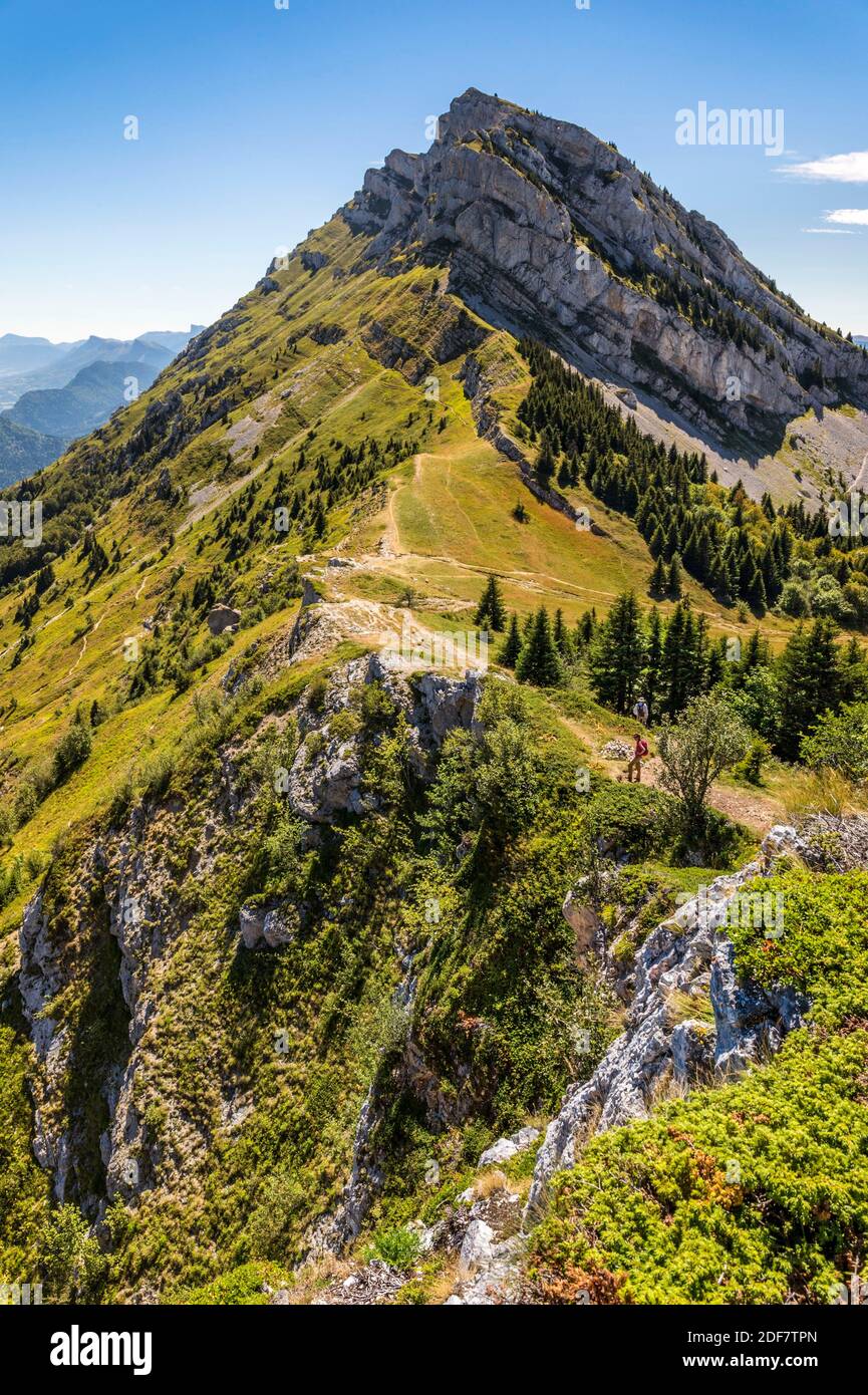 France, Is?re (38), Vercors Regional Natural Park, LansenVercors