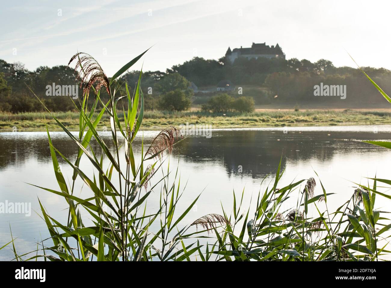 Rouge park hires stock photography and images Alamy — free download