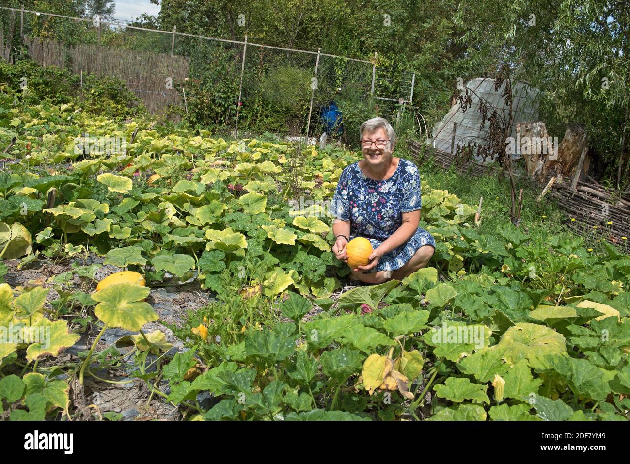 Regine Lassince, who offers breakfast based on the products of her garden on a plot called ''Le Paradis'', in the Marshes of the Yèvre and Voiselle, Stock Photo