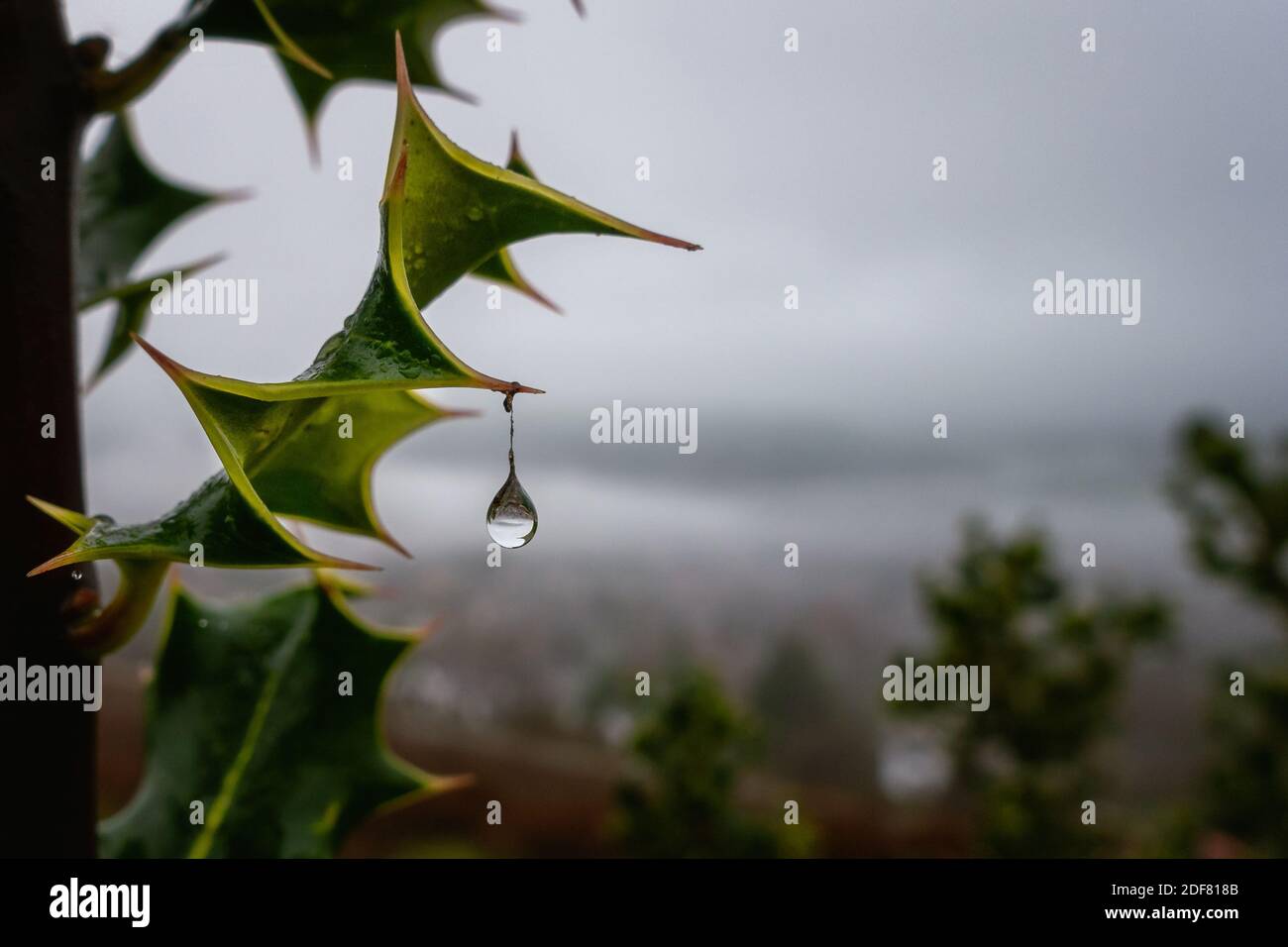 Christmas bauble british hires stock photography and images Alamy