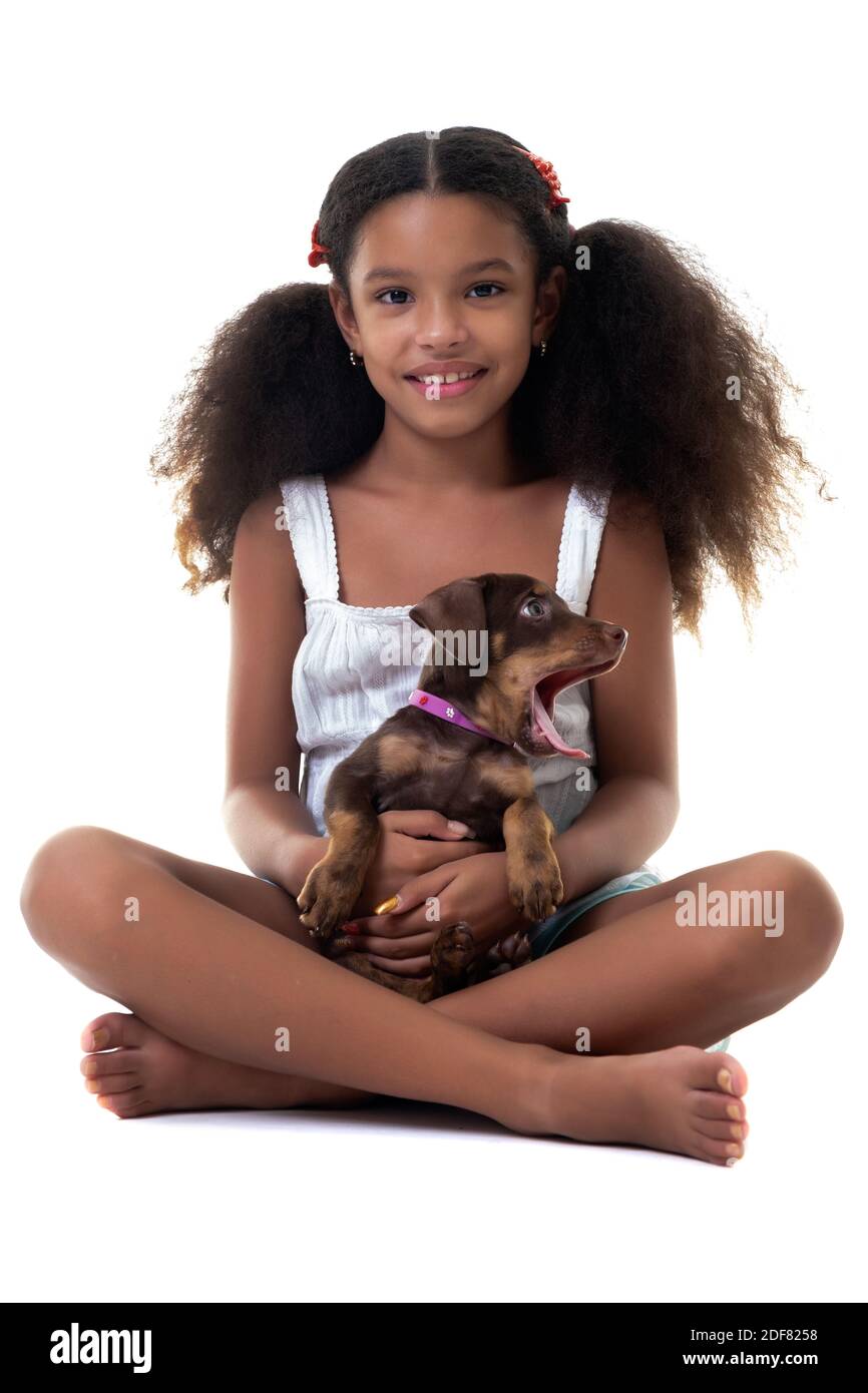 Adorable multiracial girl holding a small stray dog - Isolated on a white background Stock Photo