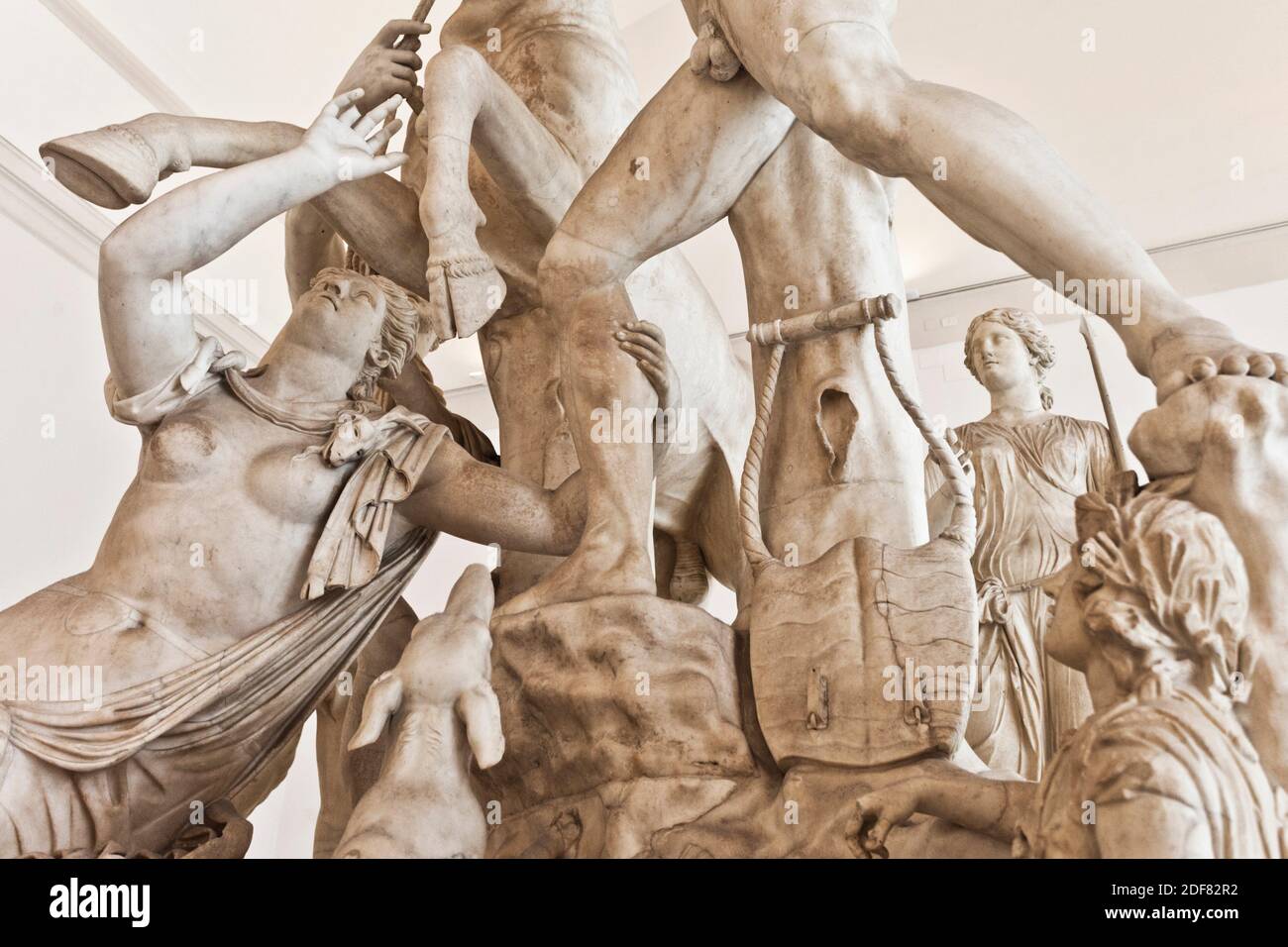 Farnese Bull, Toro Farnese, marble statue, Hellenistic sculpture, National Archaeological Museum of Naples, MANN, Naples city, Campania, Italy, Stock Photo