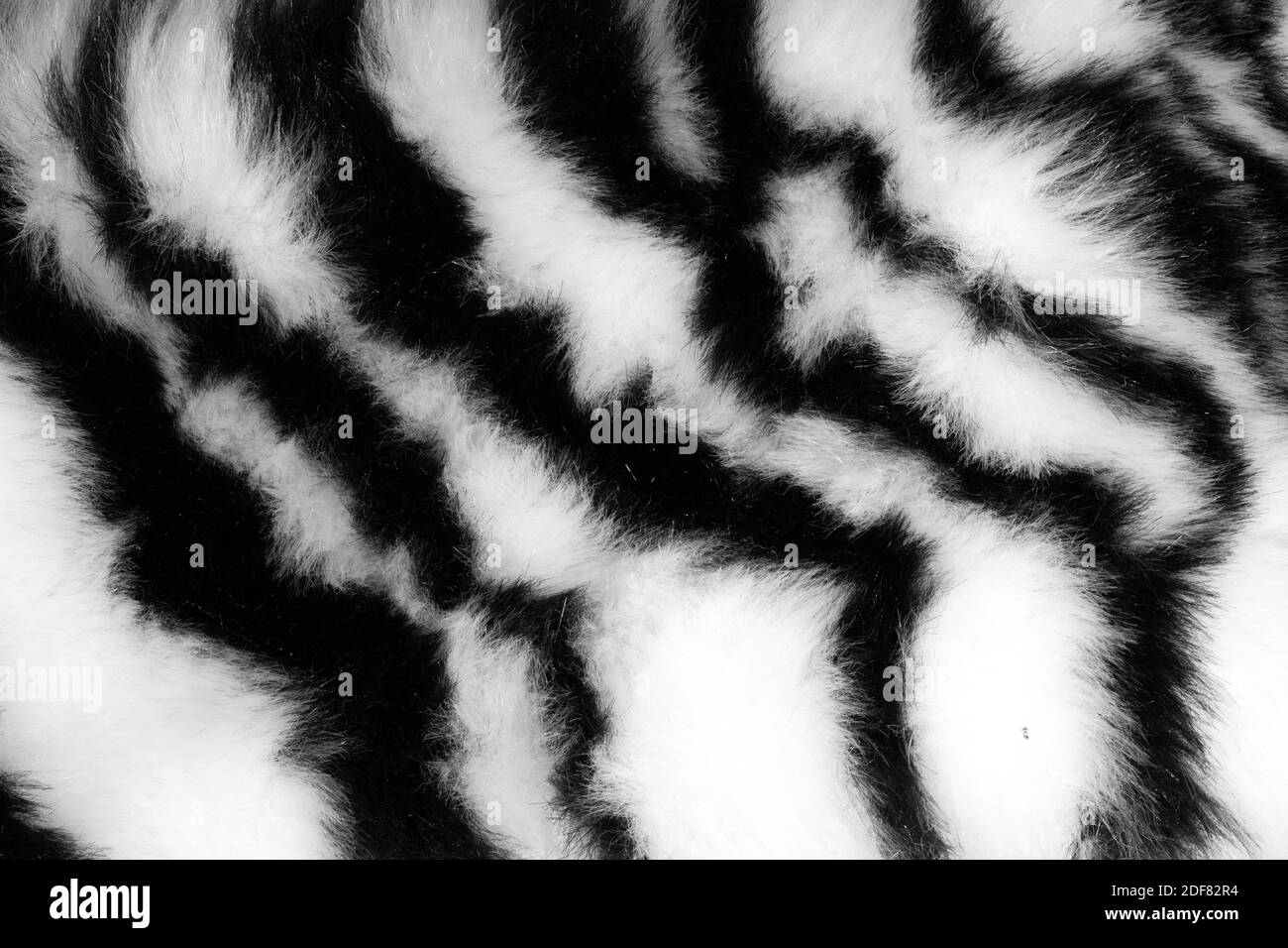 fur with black white stripes. Stock Photo